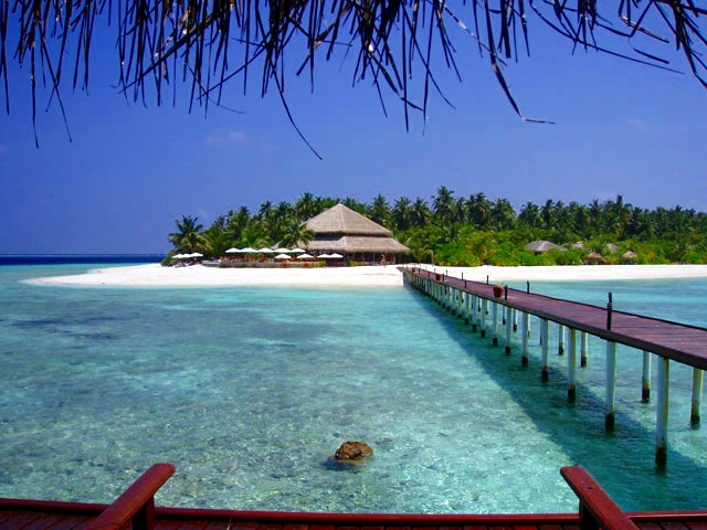 Pantai pulau Filitheyo dengan pohon palem tinggi dan laguna biru segar.