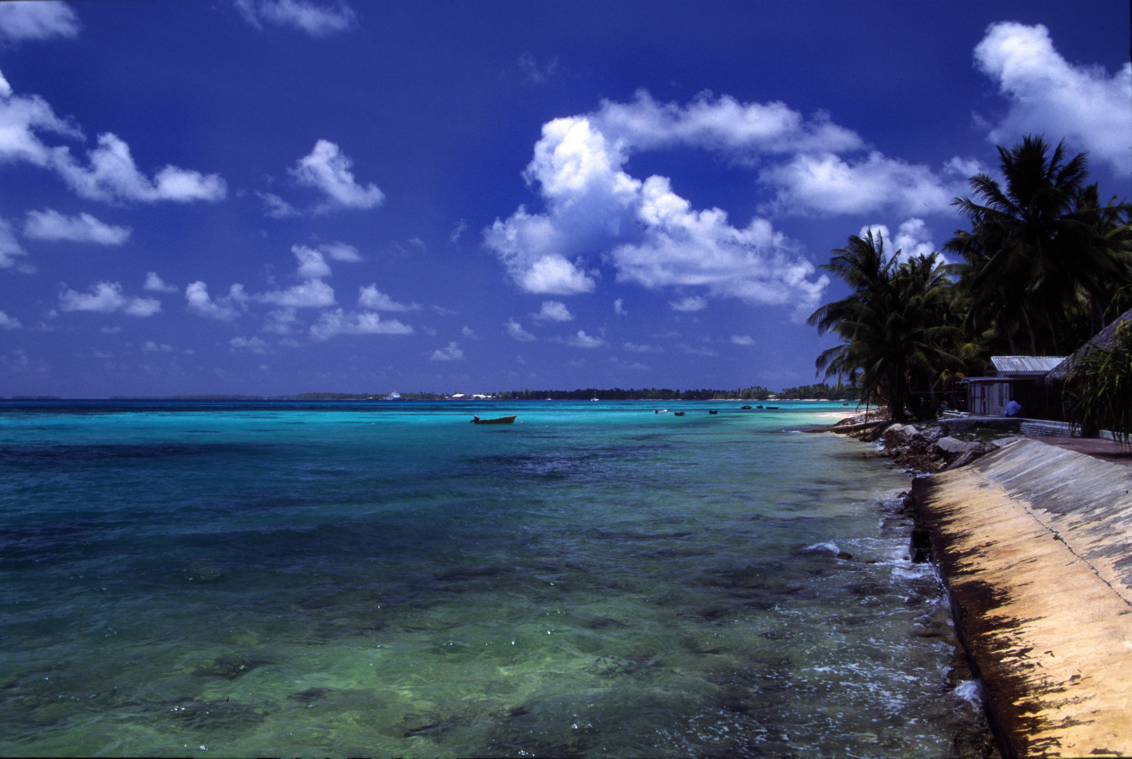 Sebuah pantai di atol Funafuti.