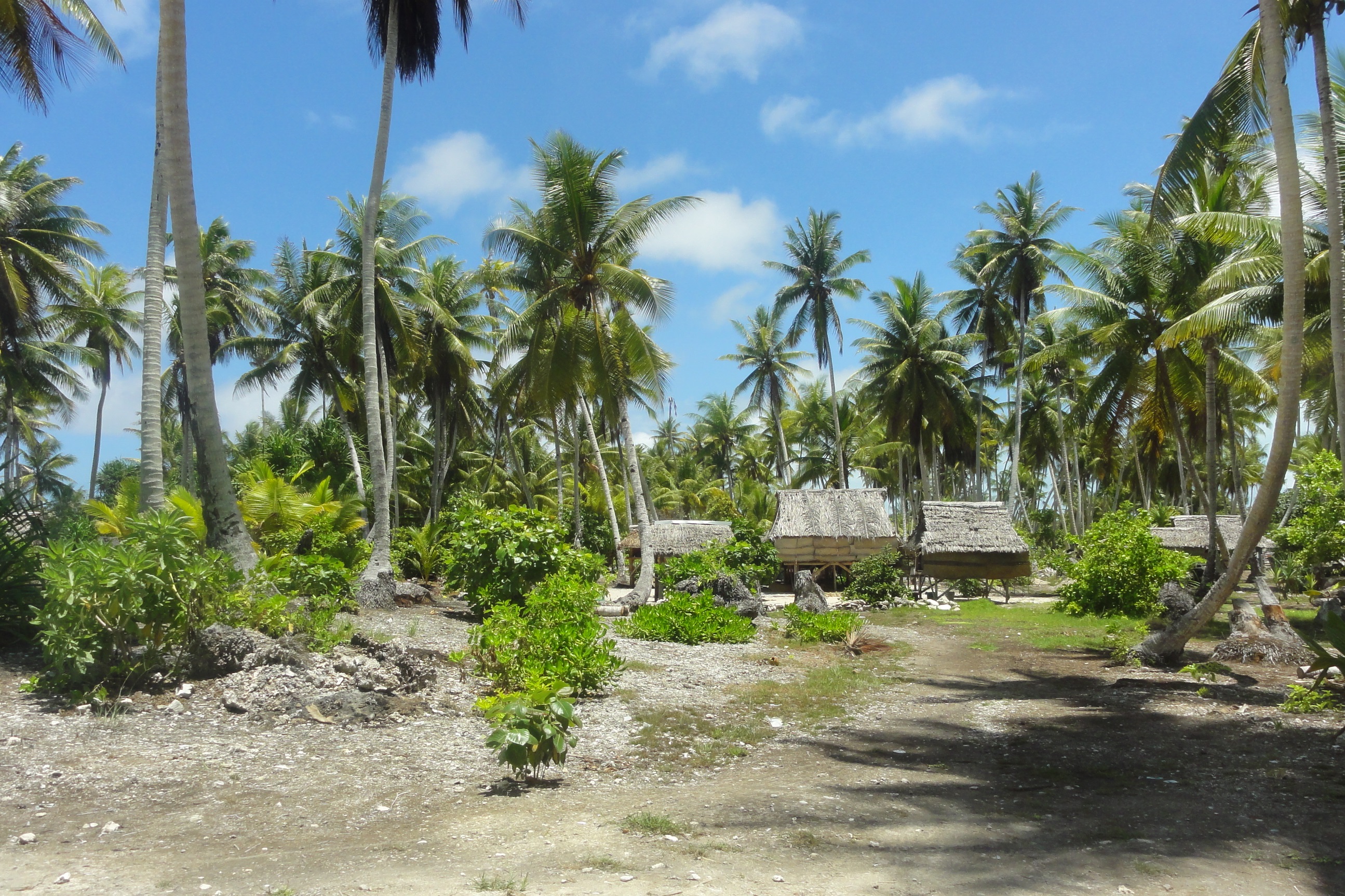 Village on Kiribati, showcasing traditional housing.