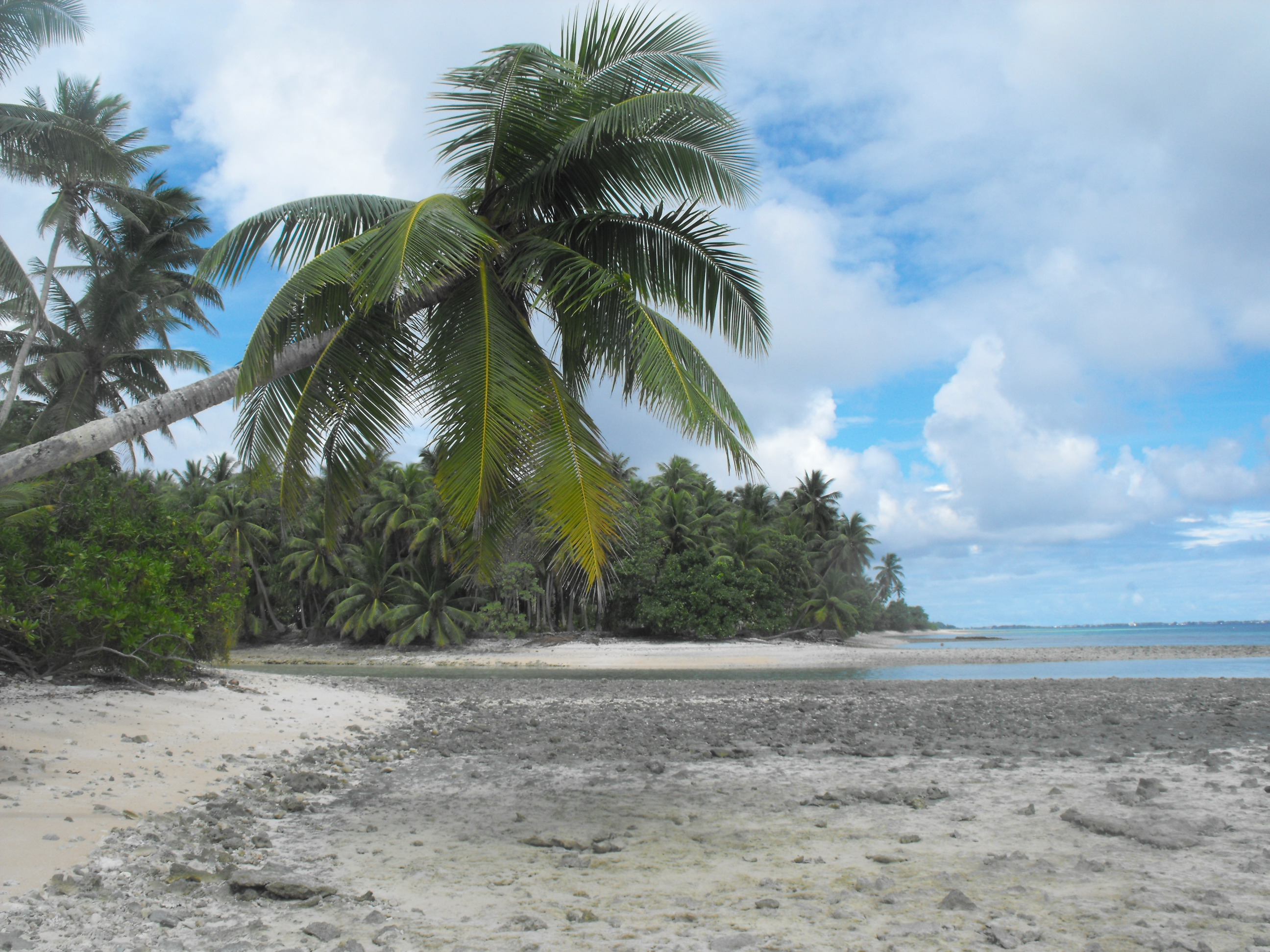 Pemandangan pantai di pulau kecil Eneko, Majuro