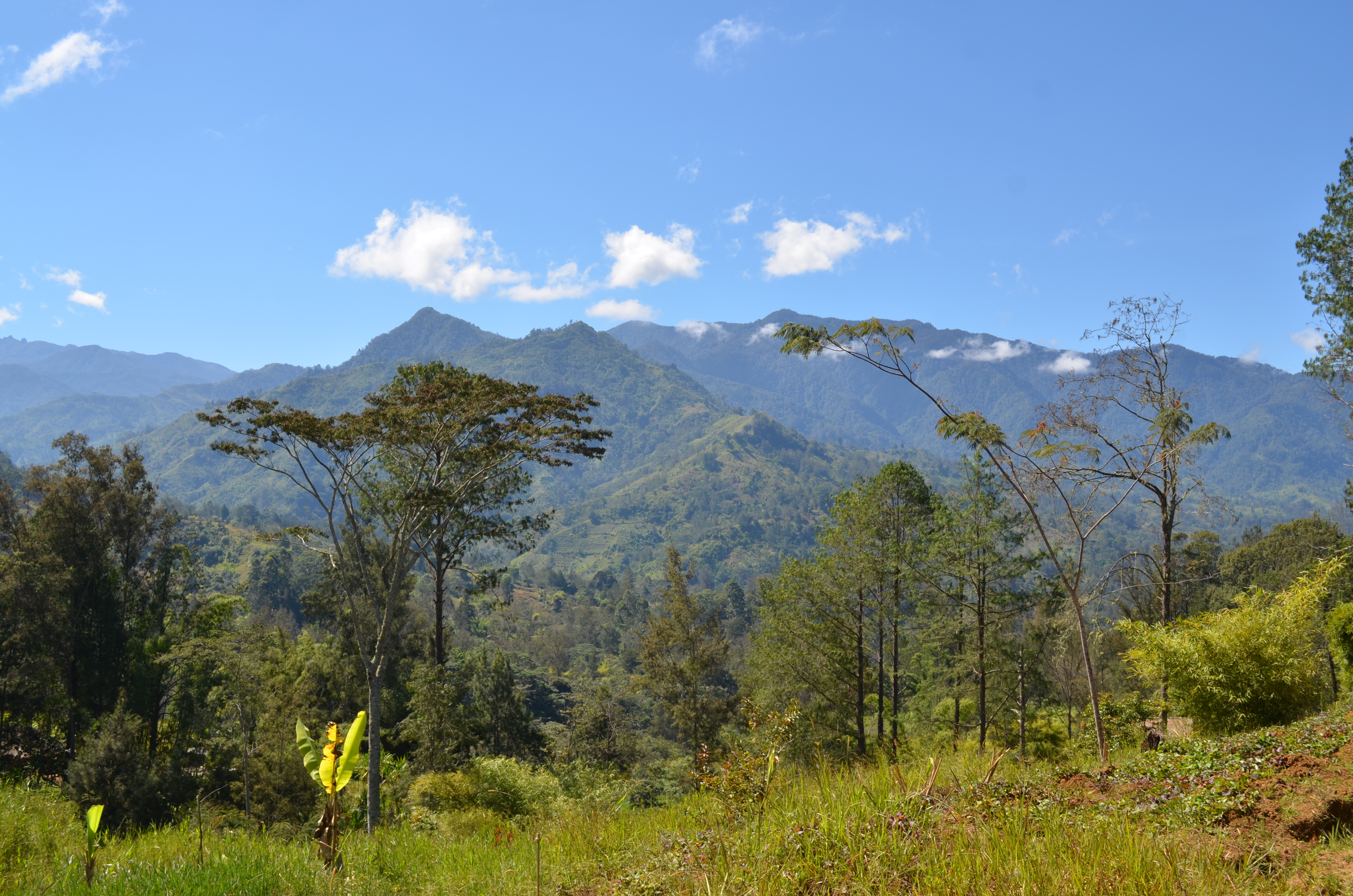 Vùng cao nguyên của Papua New Guinea