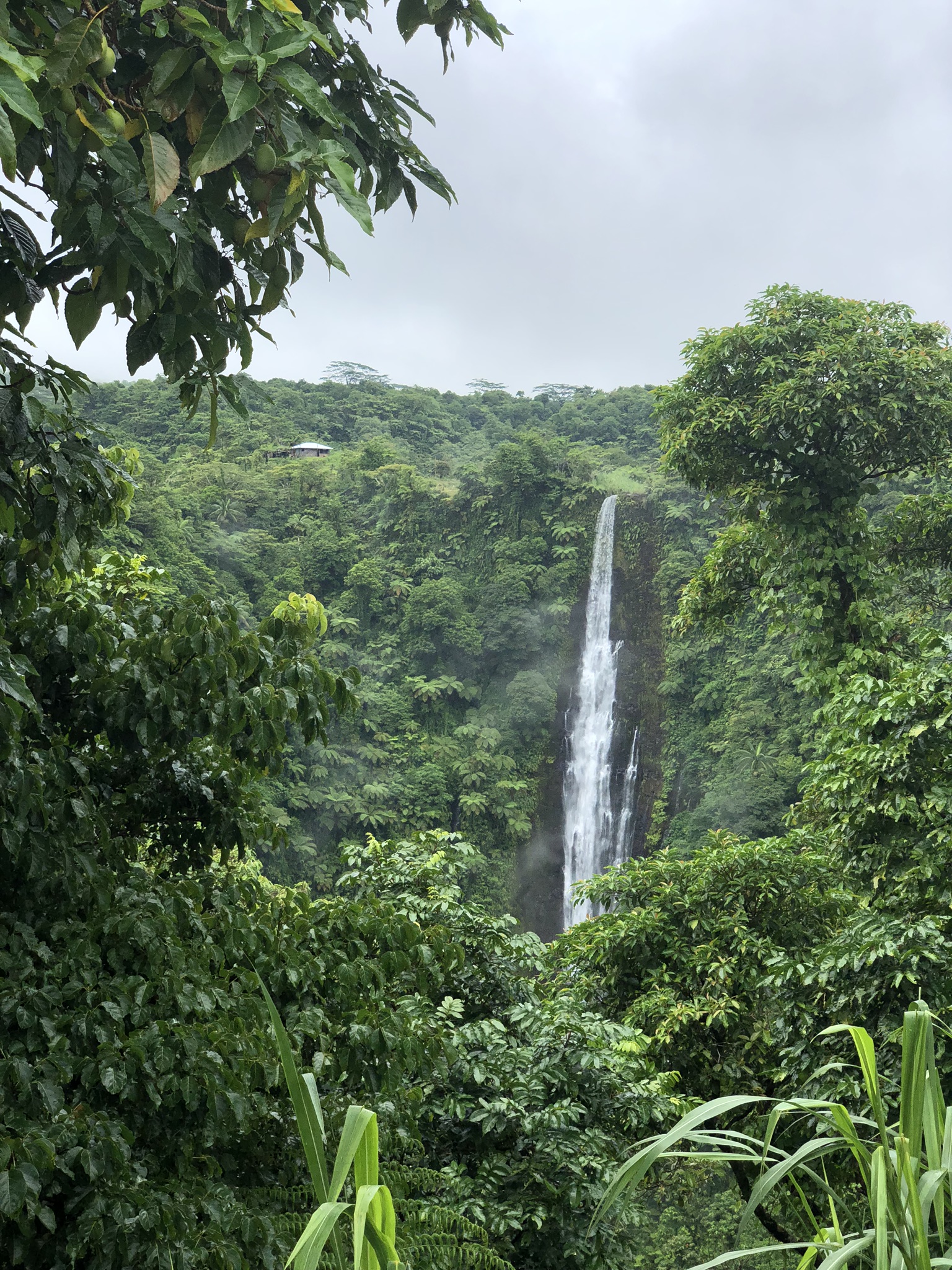 Pemandangan air terjun di Samoa