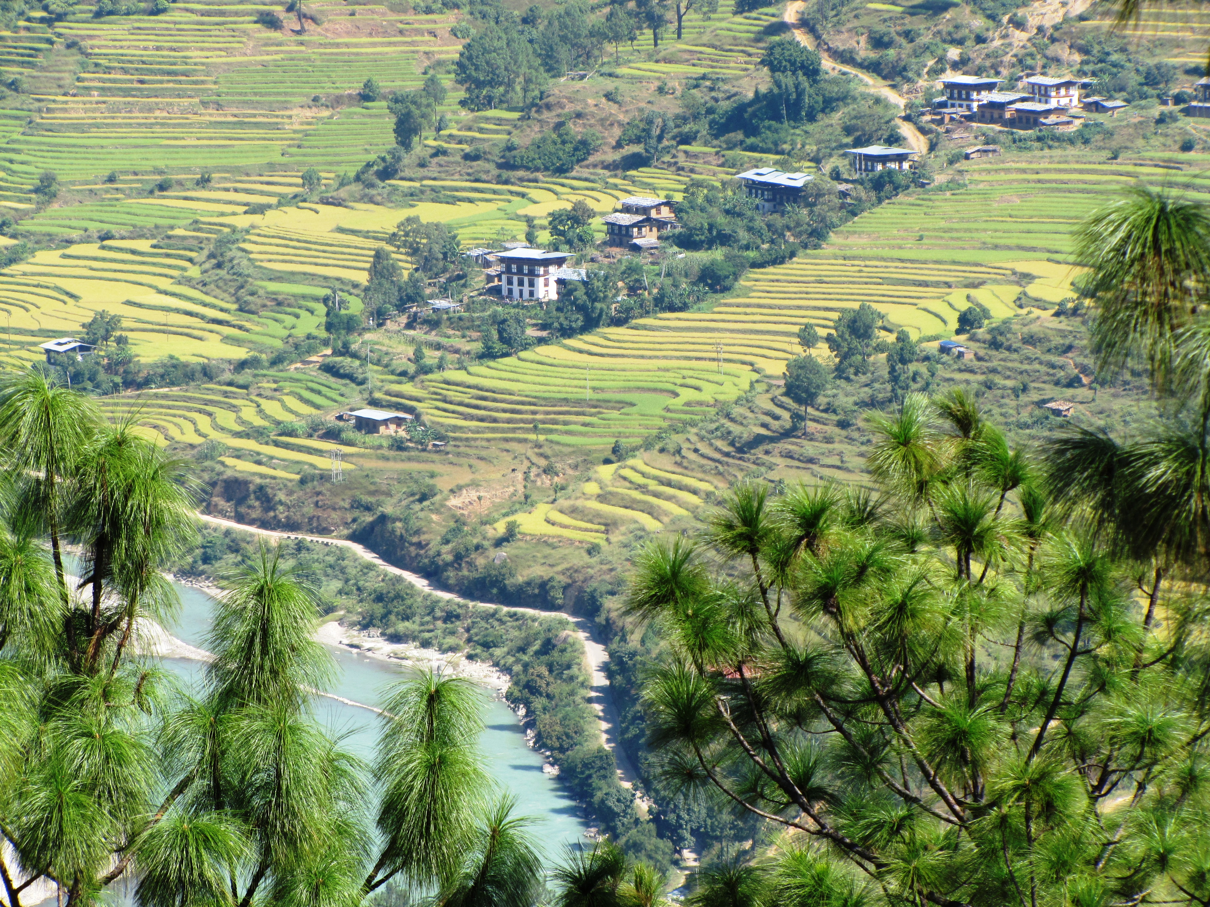 Terasering sawah di salah satu lembah subur Bhutan