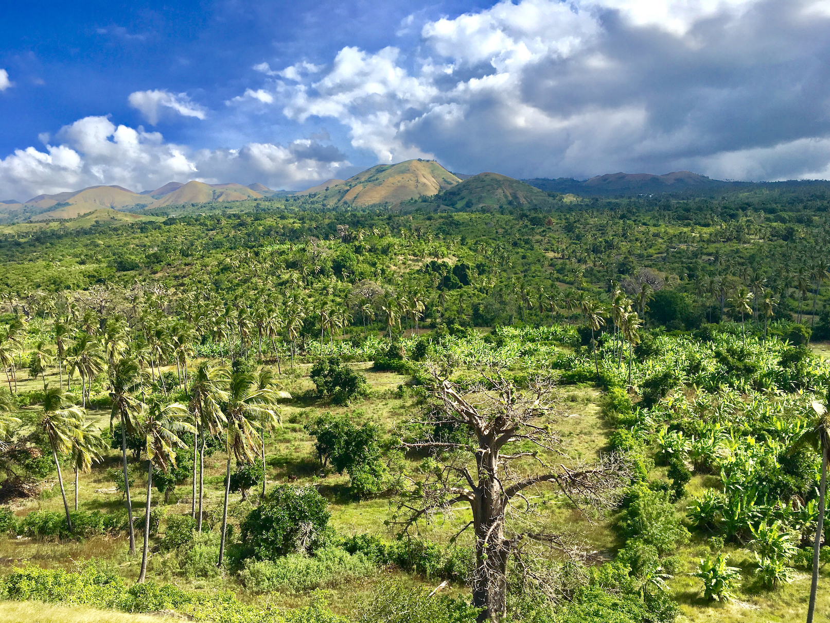 A landscape view of Grande Comore, illustrating its volcanic terrain and vegetation.