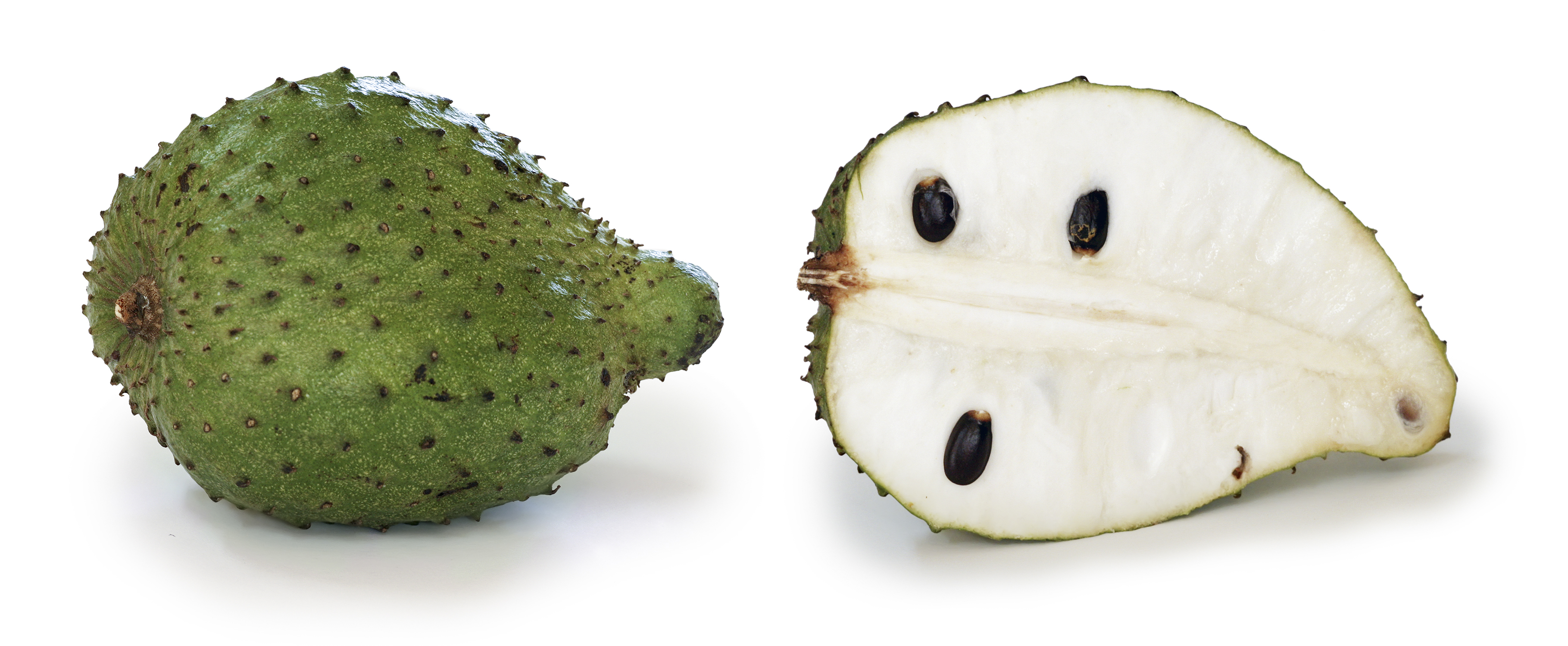 Annona muricata