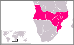 Dengan warna merah muda adalah wilayah-wilayah di Afrika yang diklaim oleh Portugal sebelum Ultimatum Inggris tahun 1890