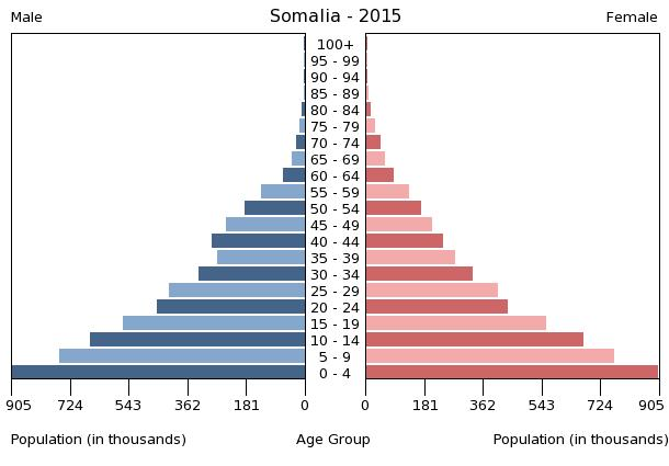 Tháp dân số Somalia năm 2015.