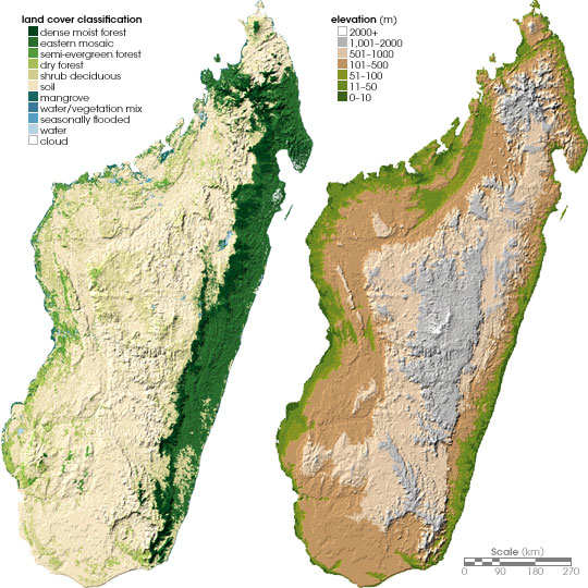 Peta tutupan lahan (kiri) dan topografi (kanan) Madagaskar