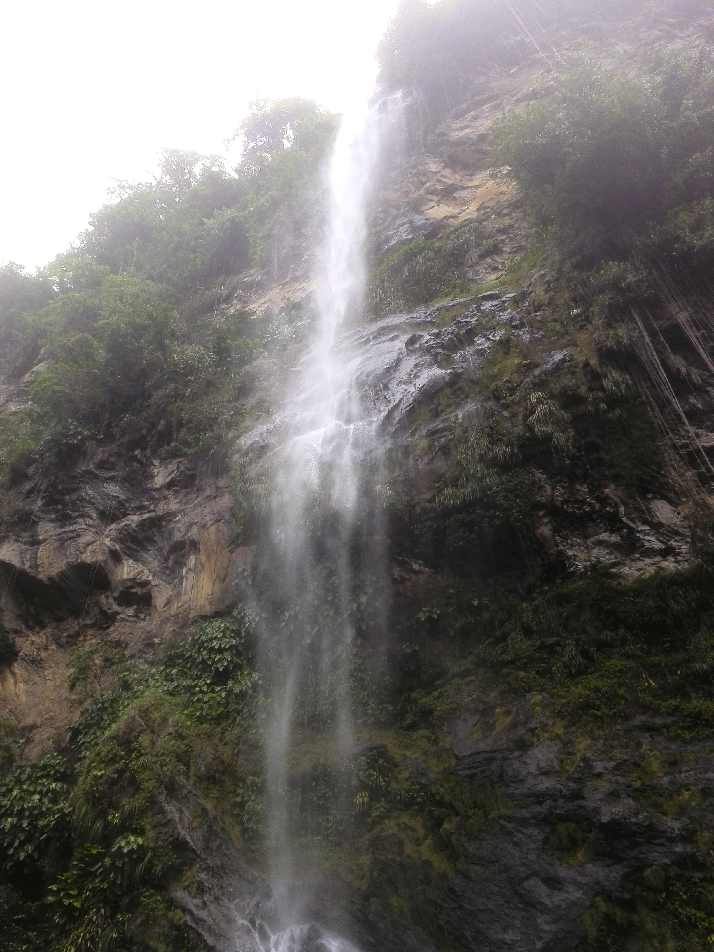 Air terjun Maracas, adalah air terjun setinggi lebih 90 meter, yang tertinggi di negara ini (lihat Lembah Maracas)