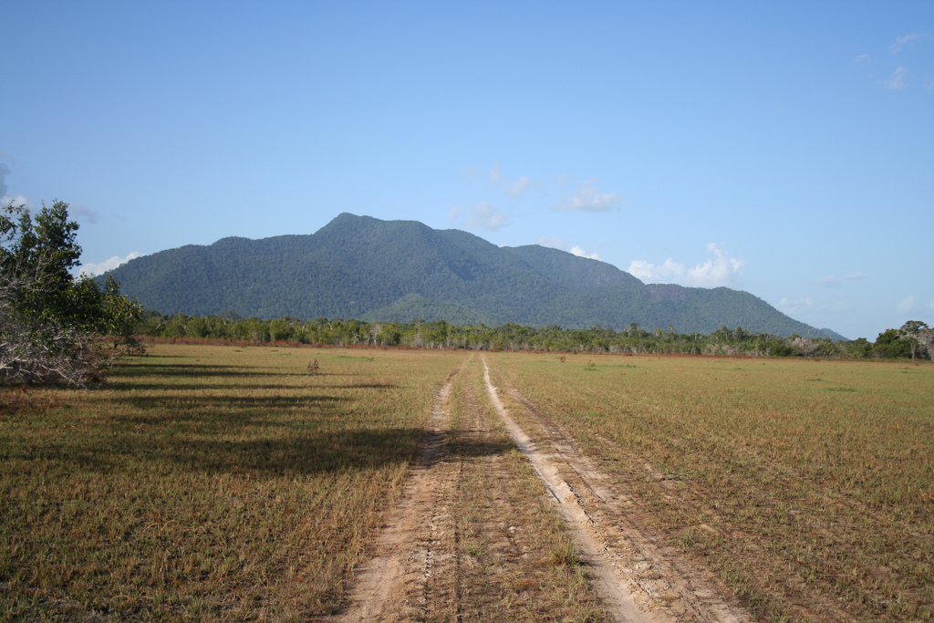 The Rupununi Savannah in southwestern Guyana.