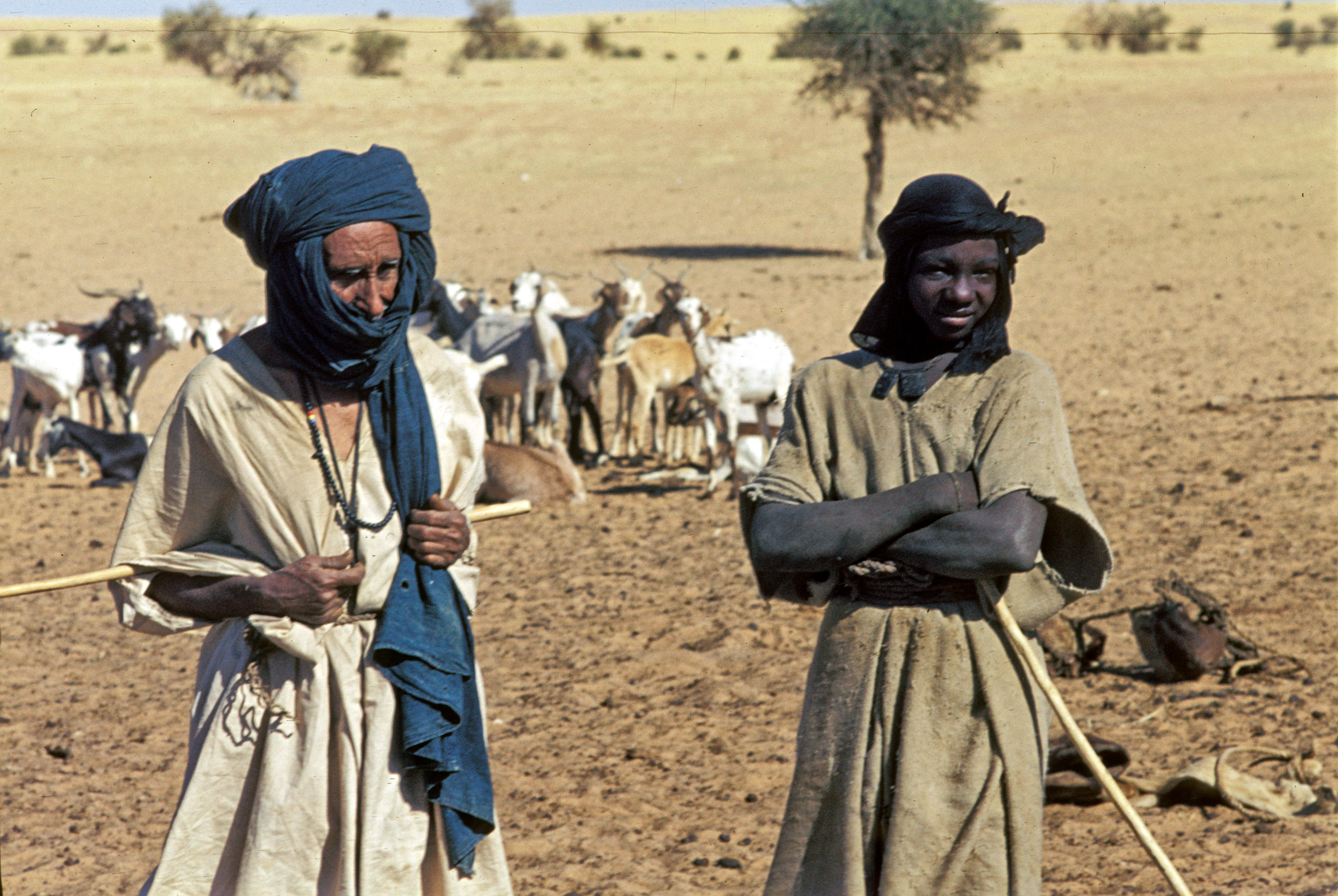 Người Tuareg là những cư dân du mục truyền thống ở miền bắc Mali, nổi bật với trang phục và lối sống đặc trưng.