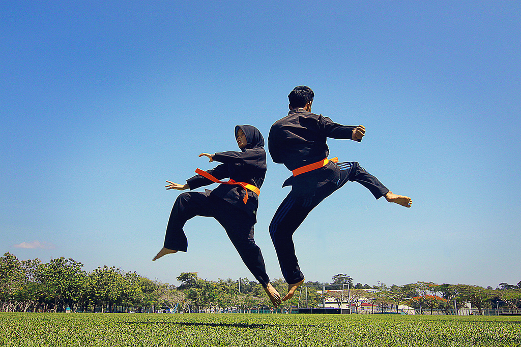 Các môn thể thao truyền thống, chẳng hạn như môn võ Silat Melayu, vẫn tồn tại bên cạnh các môn thể thao hiện đại.