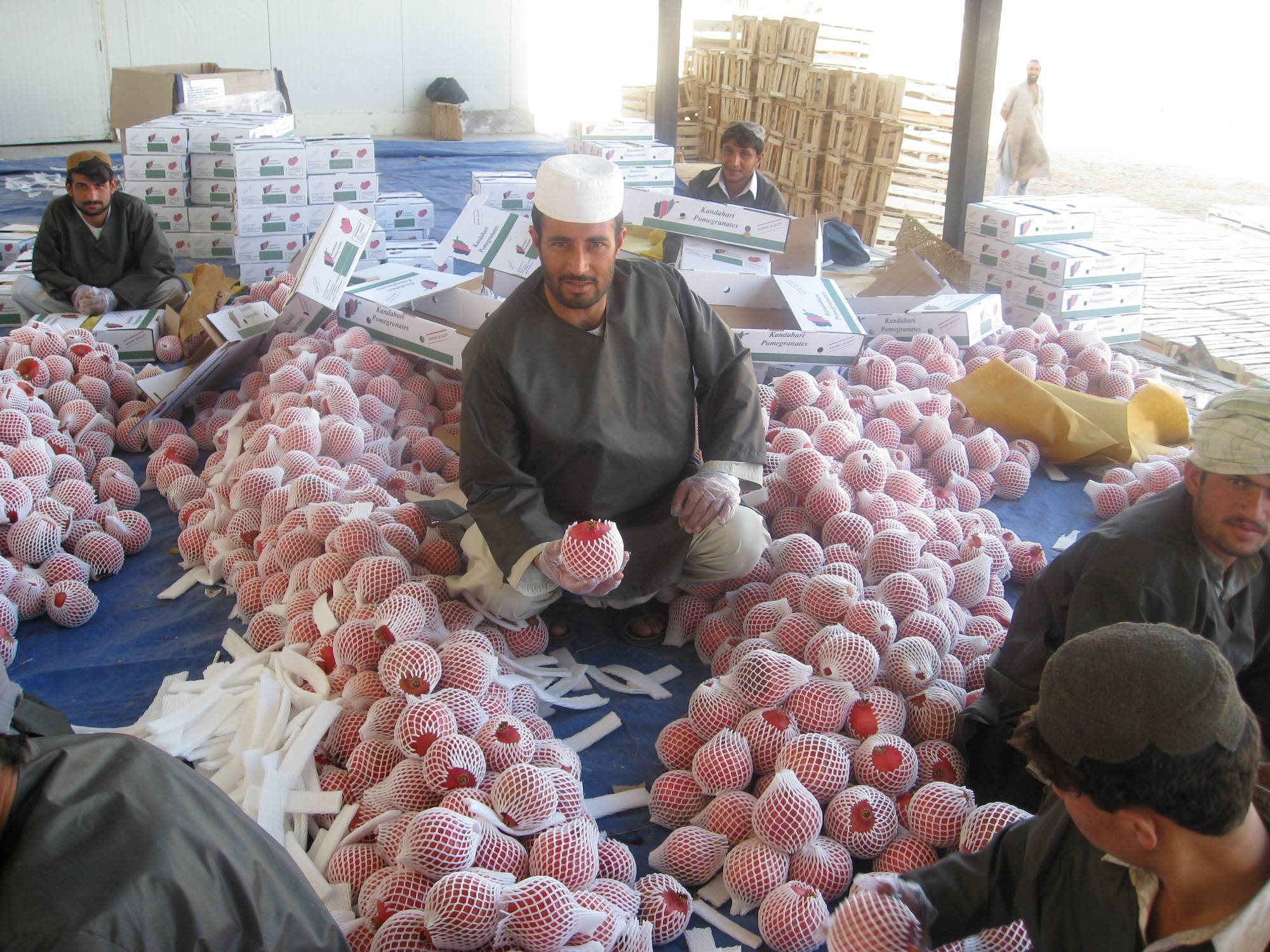Các công nhân đang chế biến lựu (anaar), một loại quả nổi tiếng của Afghanistan ở châu Á