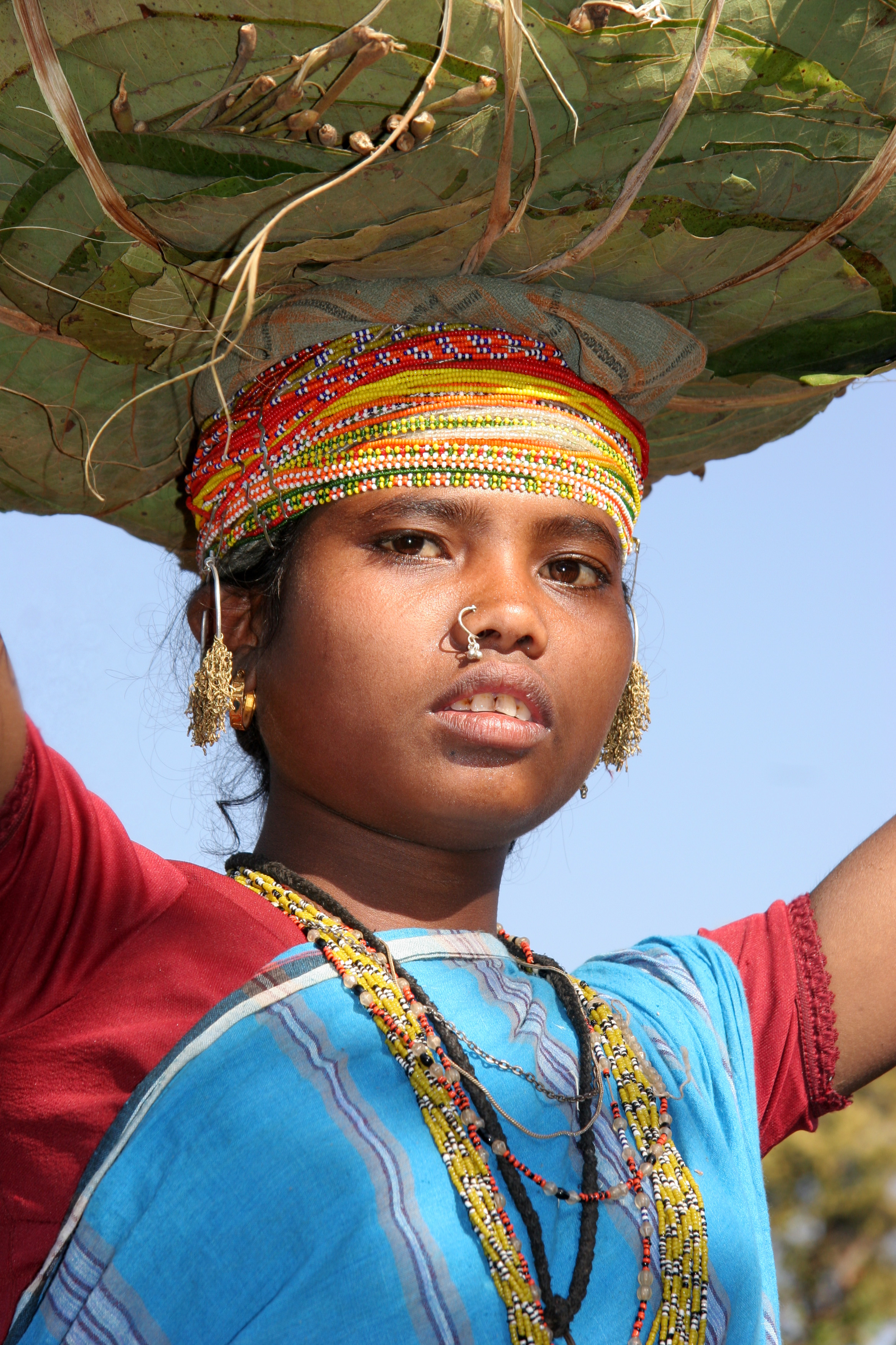 チャッティースガル州の週市へ向かうボンダの女性。インドの先住民族であるアディヴァシに属するボンダ族は、オーストロアジア語族のムンダ語派の言語を話す。