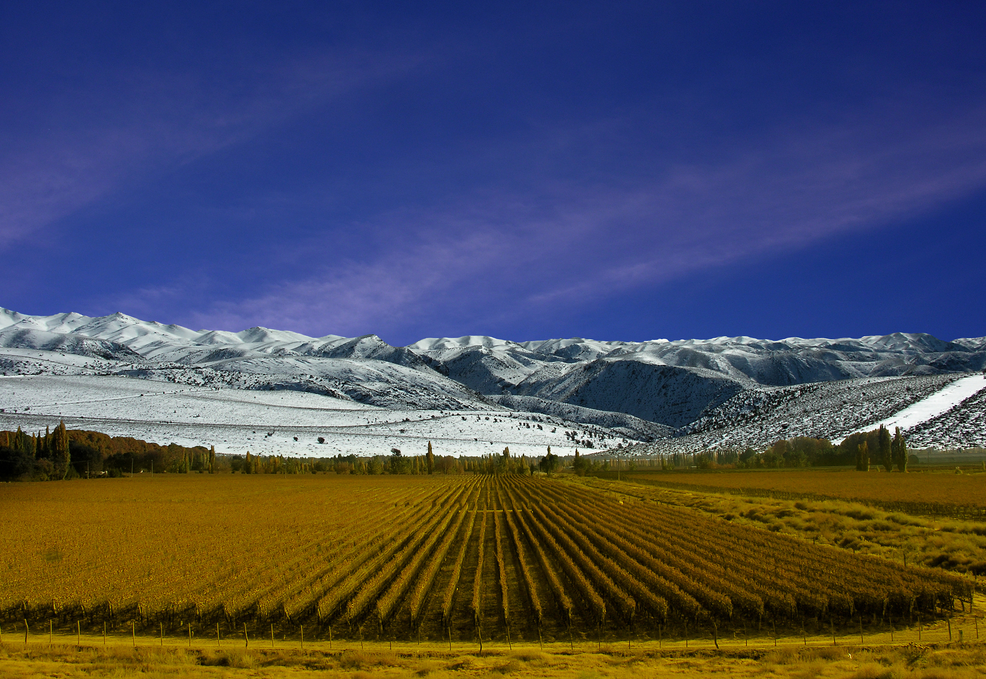 Ladang anggur di Mendoza. Argentina adalah pengeluar wain keenam terbesar.