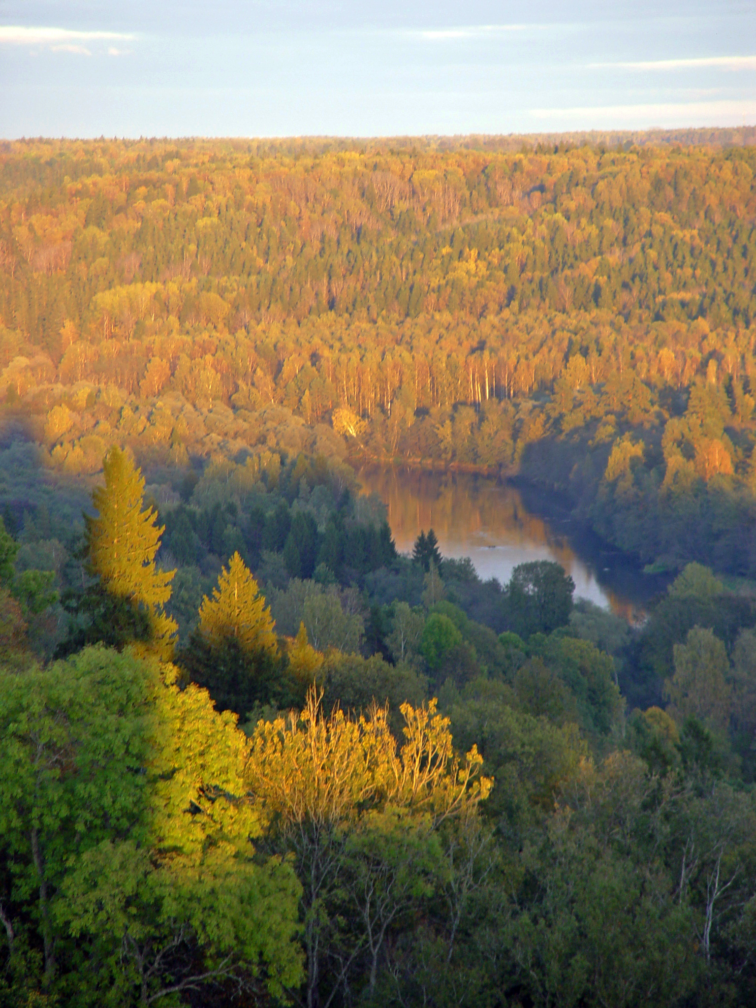 Latvia has one of the highest proportions of land covered by forests in the European Union.