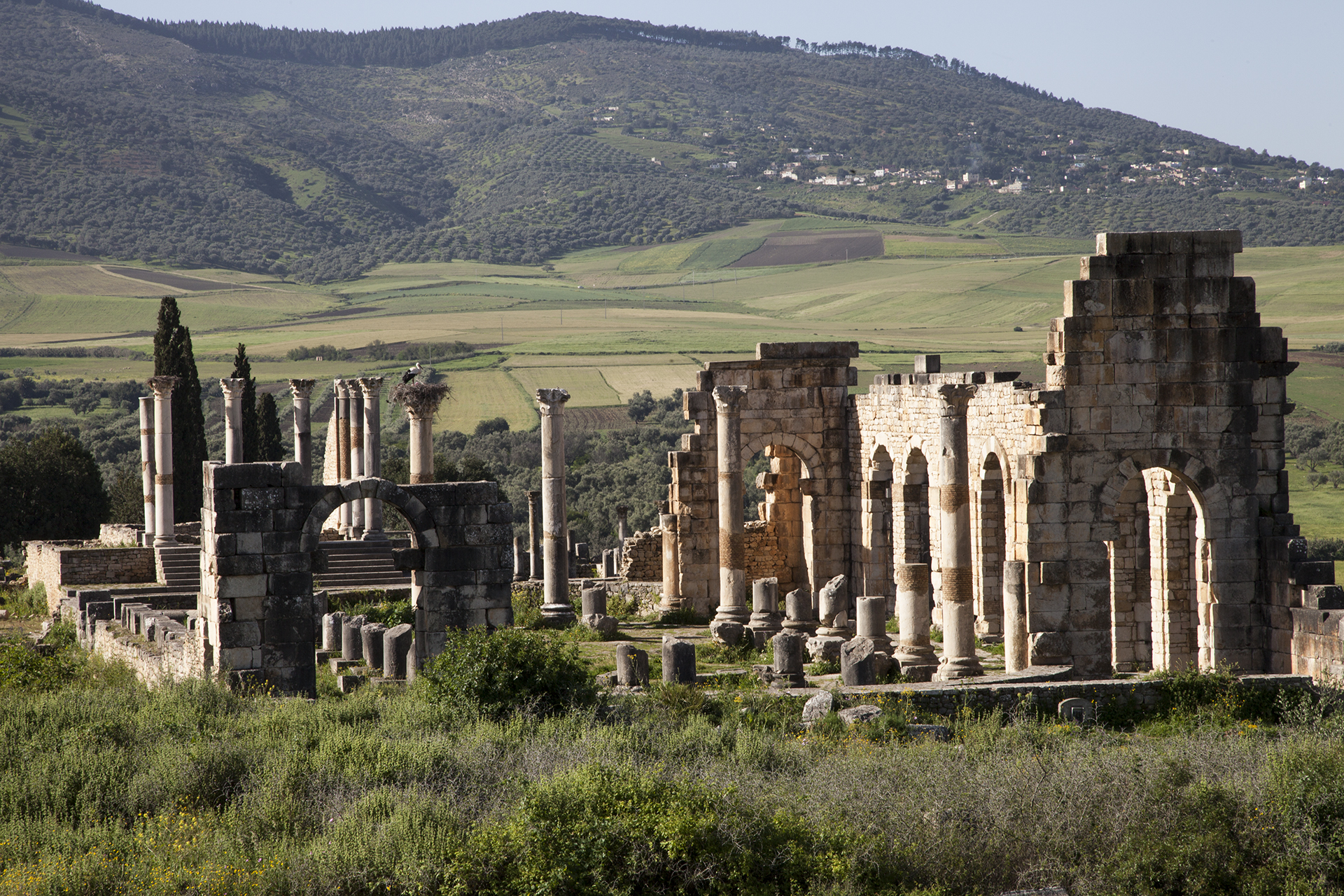 Roman ruins of Volubilis
