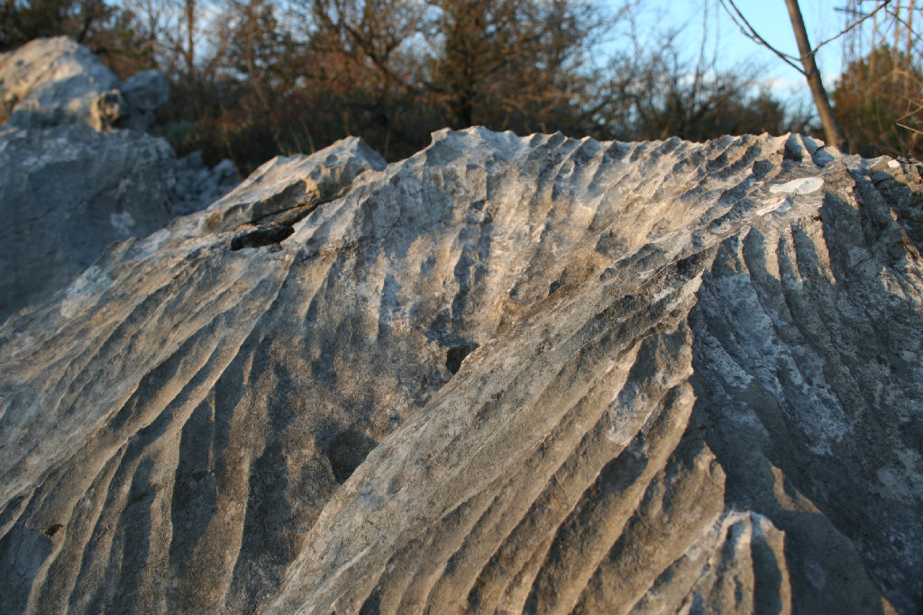 Solution runnels (also known as rillenkarren) are a karst feature on the Karst Plateau.