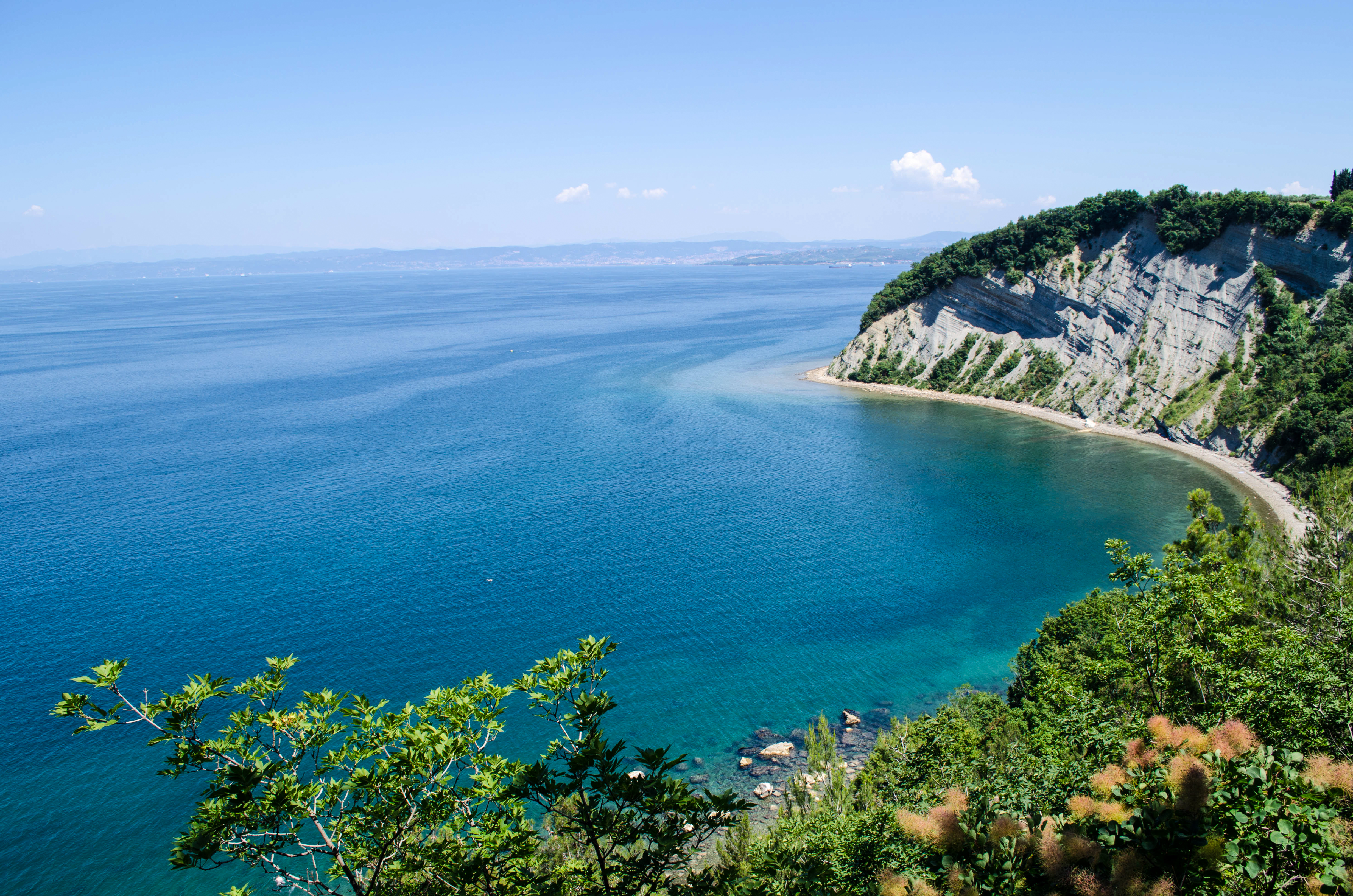 The Strunjan Nature Park, part of Slovenia's network of protected areas along the Adriatic coast, showcasing cliffs and coastal biodiversity.