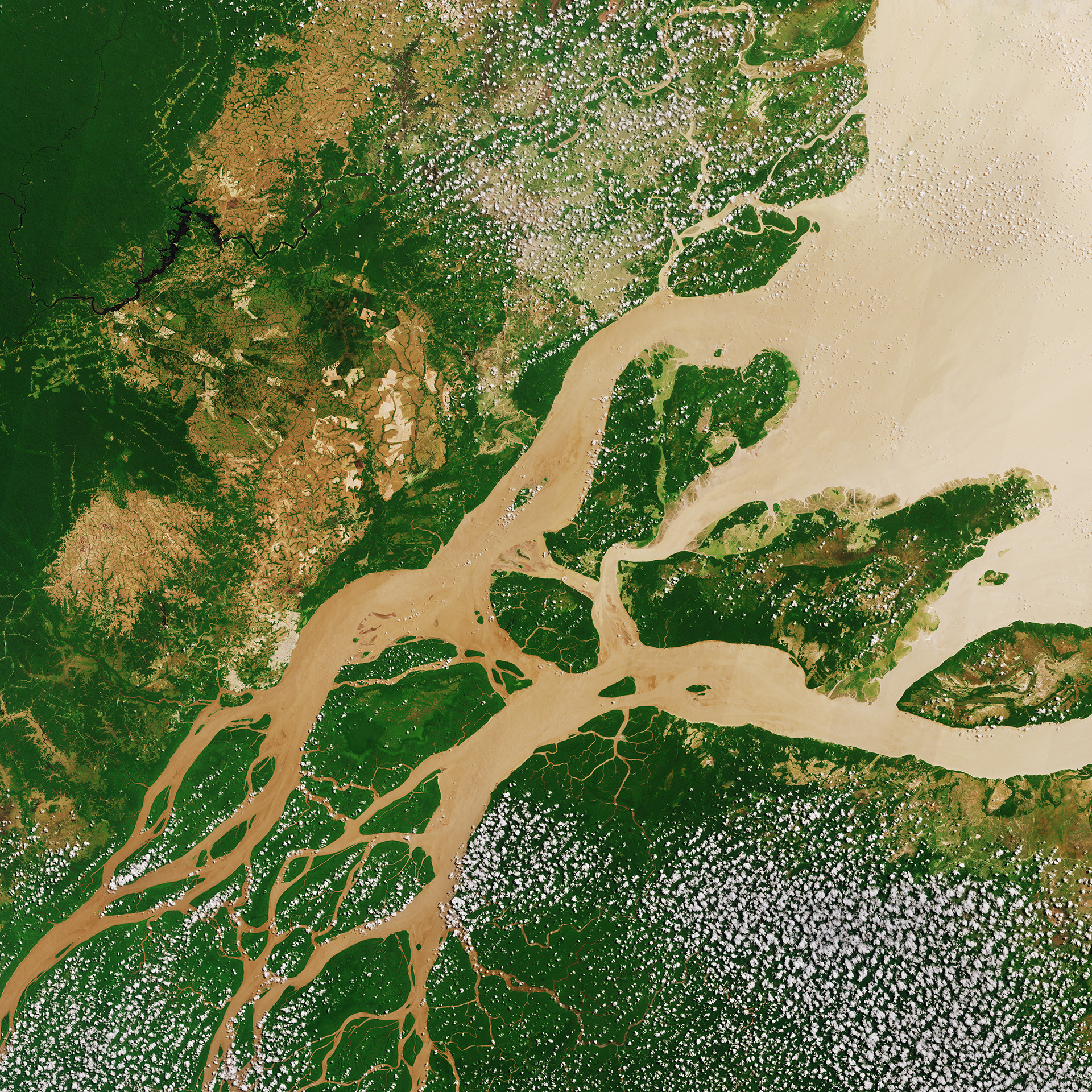 Satellite image of the Amazon Delta.