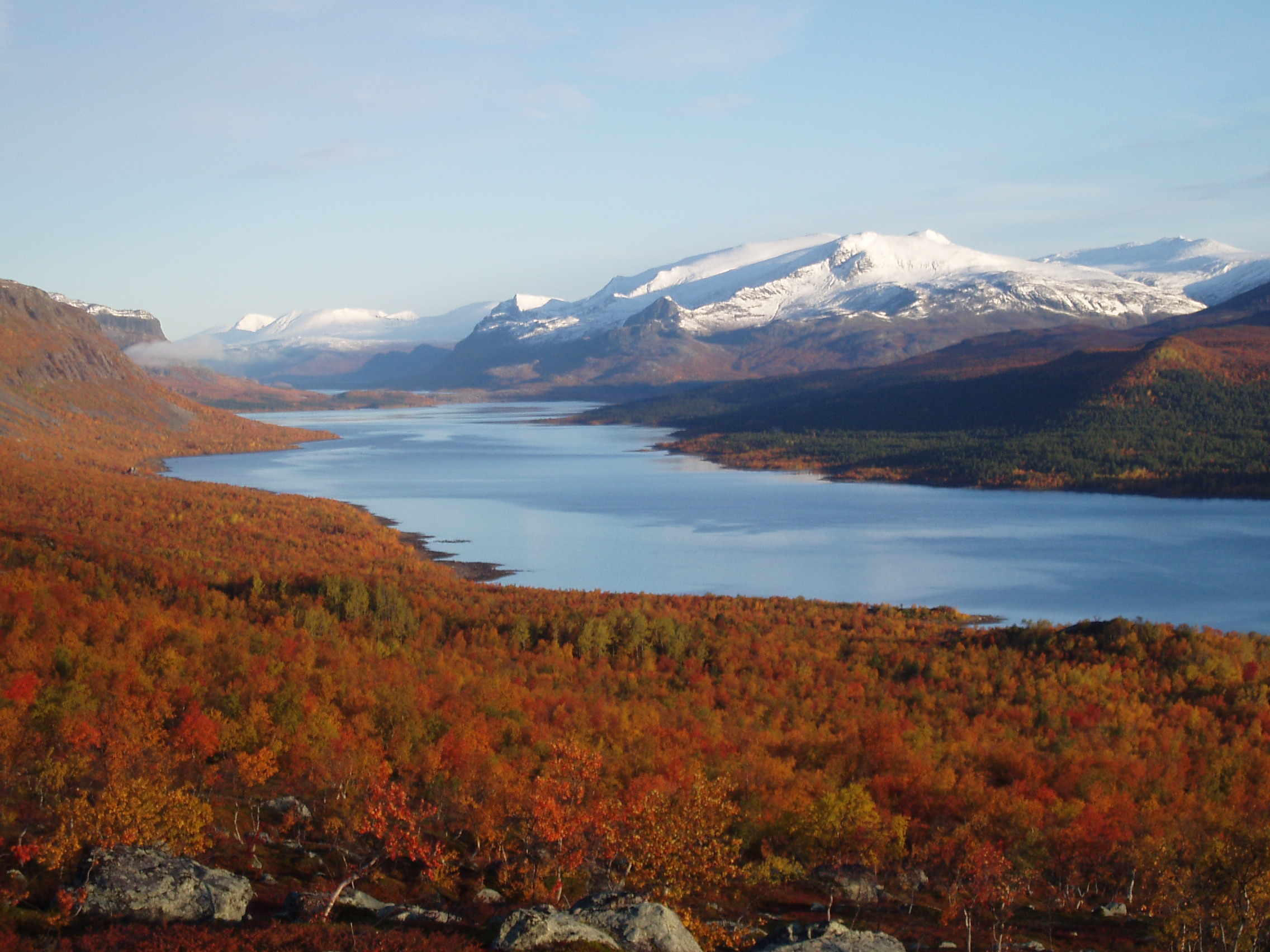 View of the Stora Sjöfallet National Park, showcasing Sweden's vast wilderness.