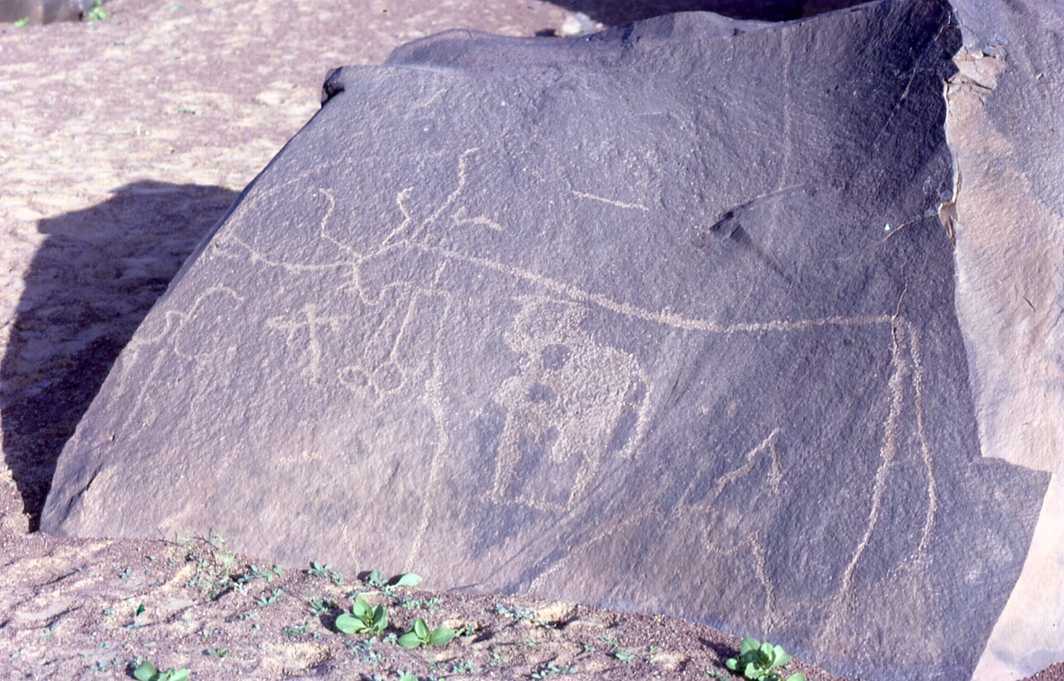 Seni cadas di Gurun Sahara di Mauritania.