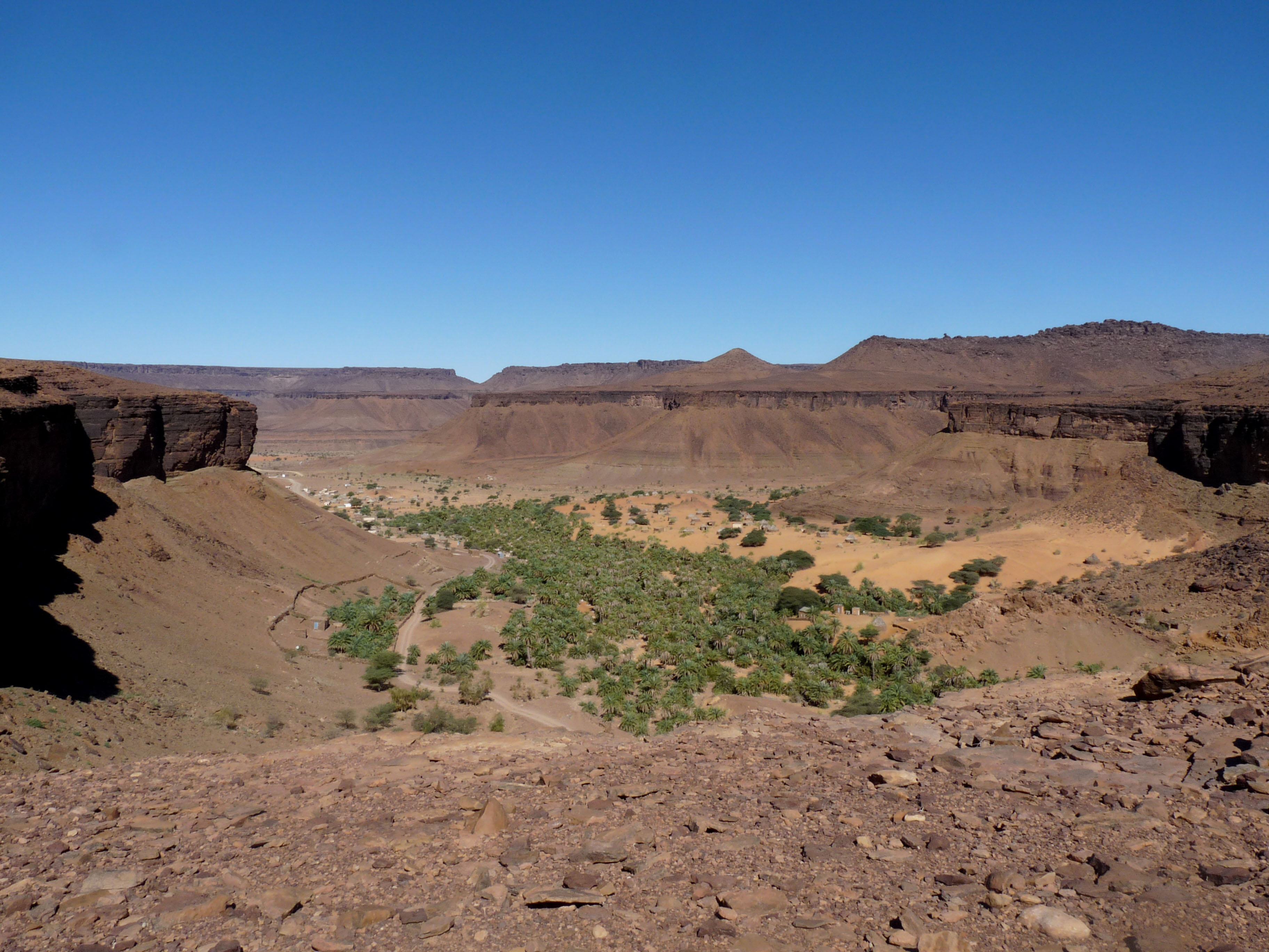 Oasis Terjit di Region Adrar.