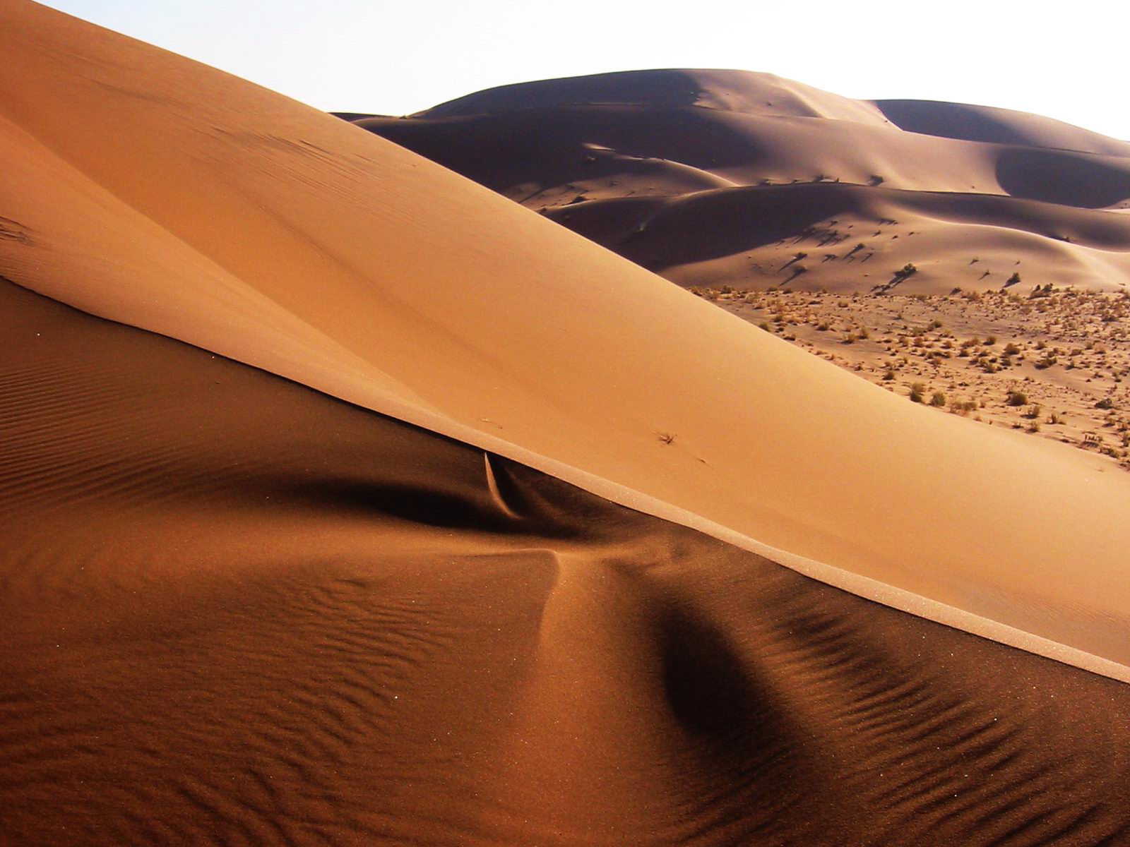 Bukit pasir di Gurun Namib