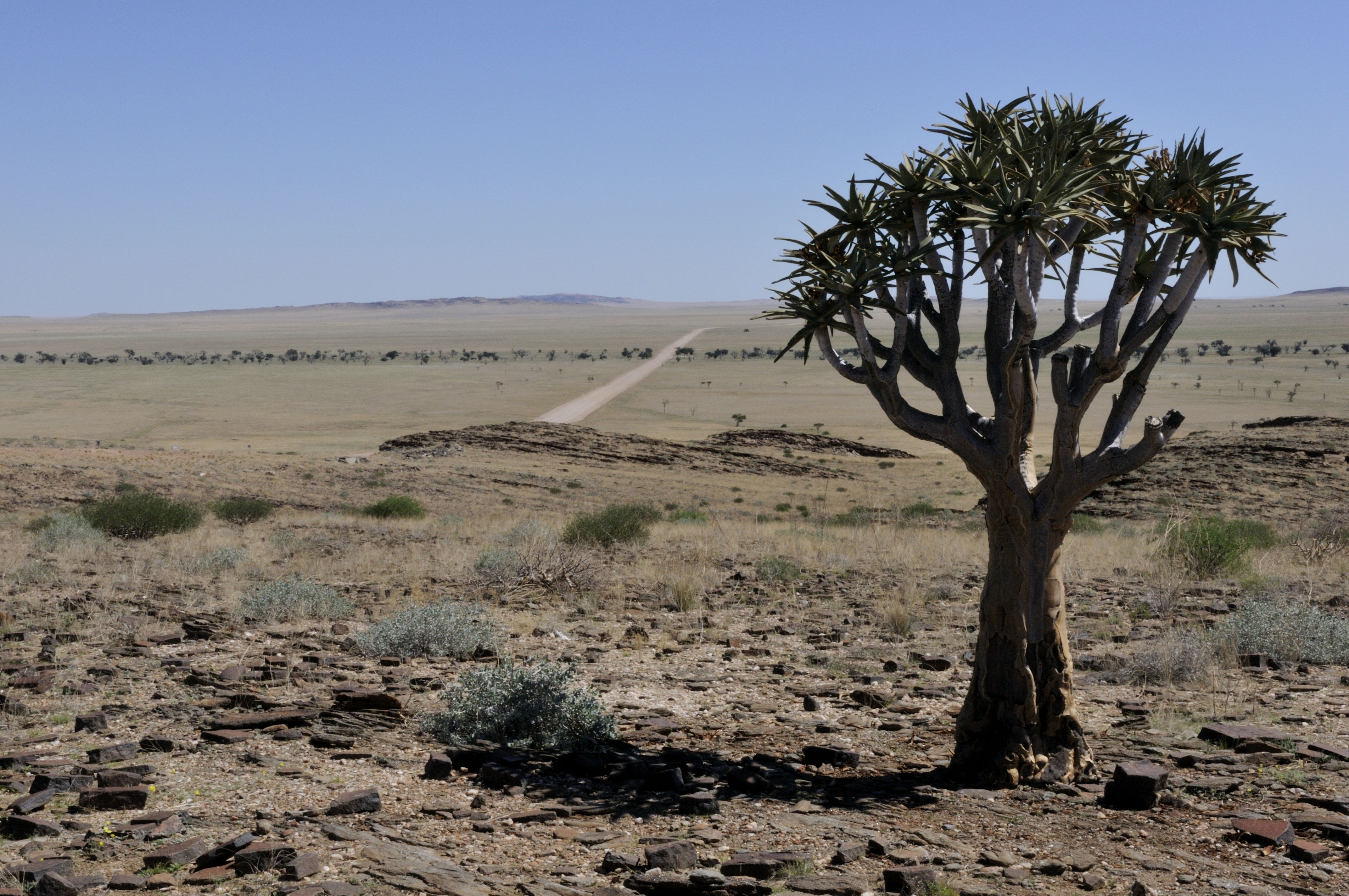 Namibia kebanyakannya merupakan dataran tinggi gurun dan separa gurun yang luas.