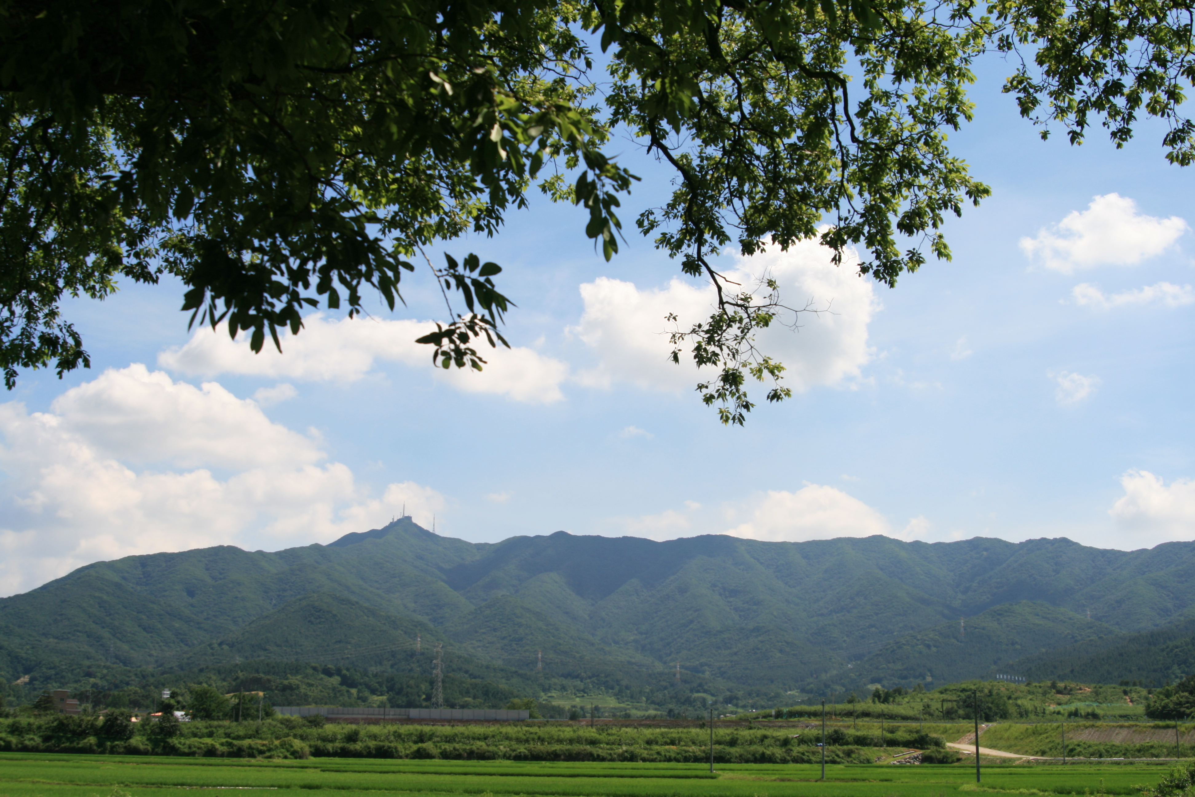 모악산 전경