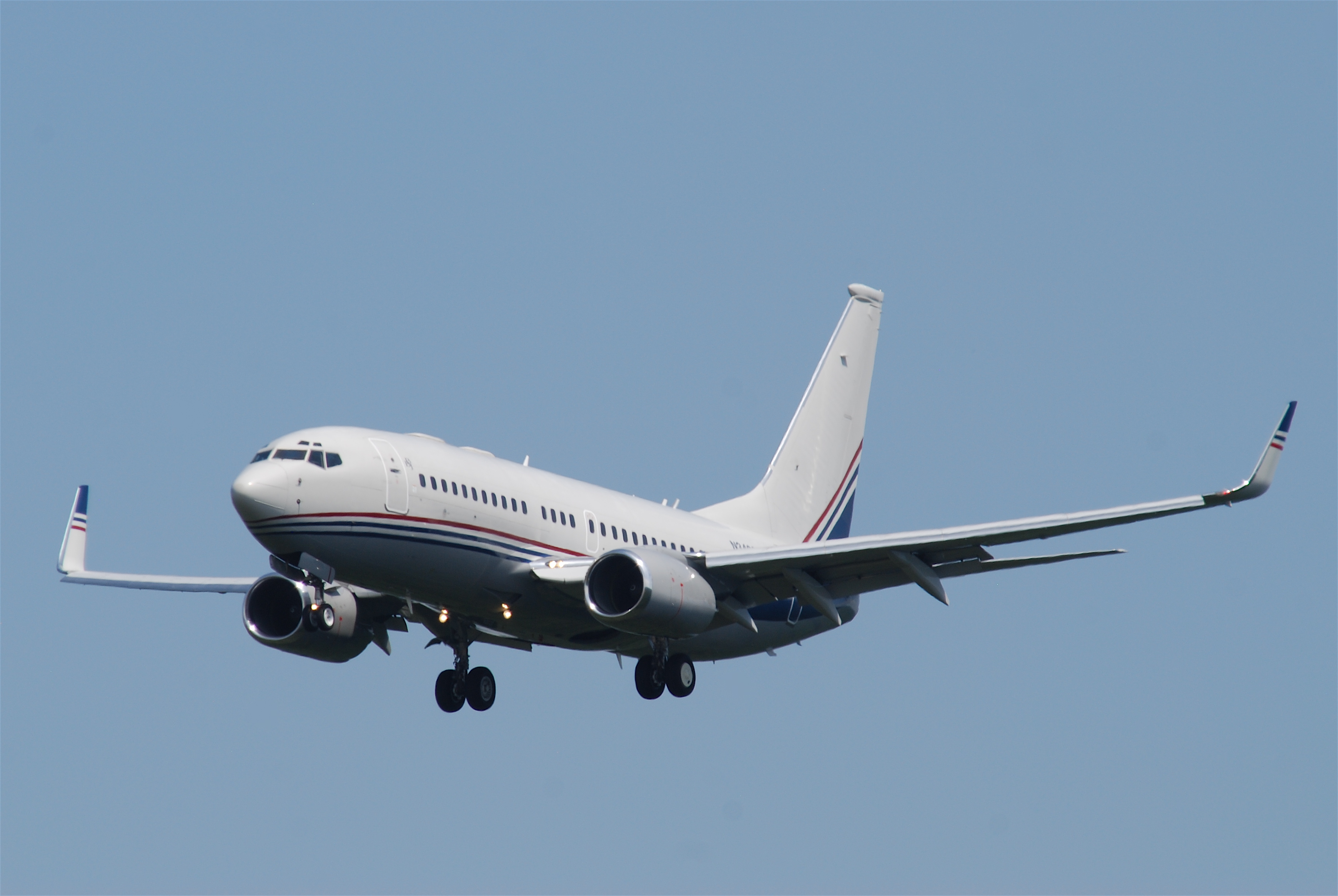 오리지널 BBJ