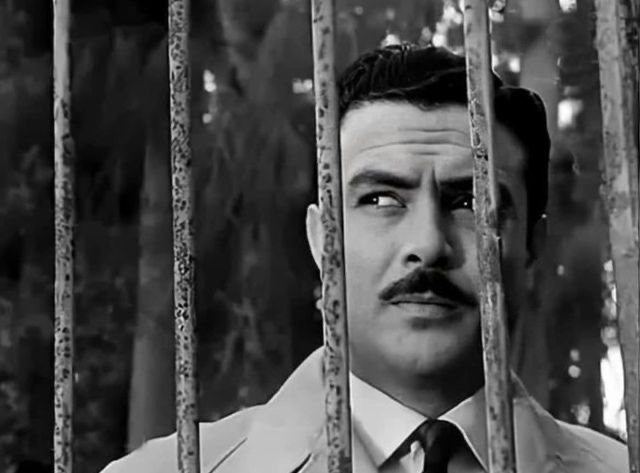 SalahZulfikar1962