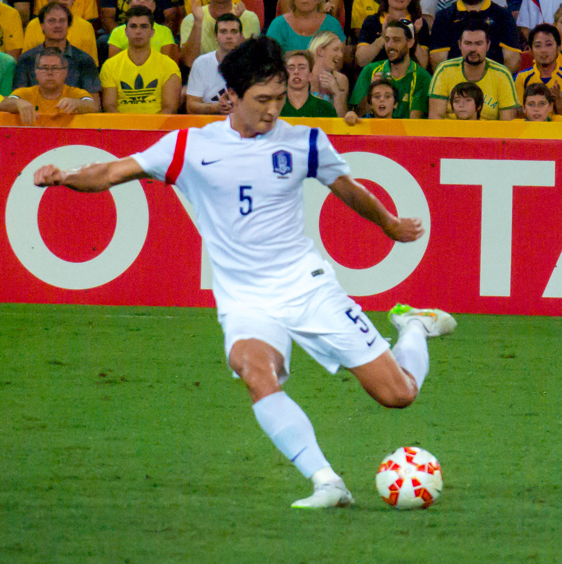 곽태휘, 2015 AFC 아시안컵
