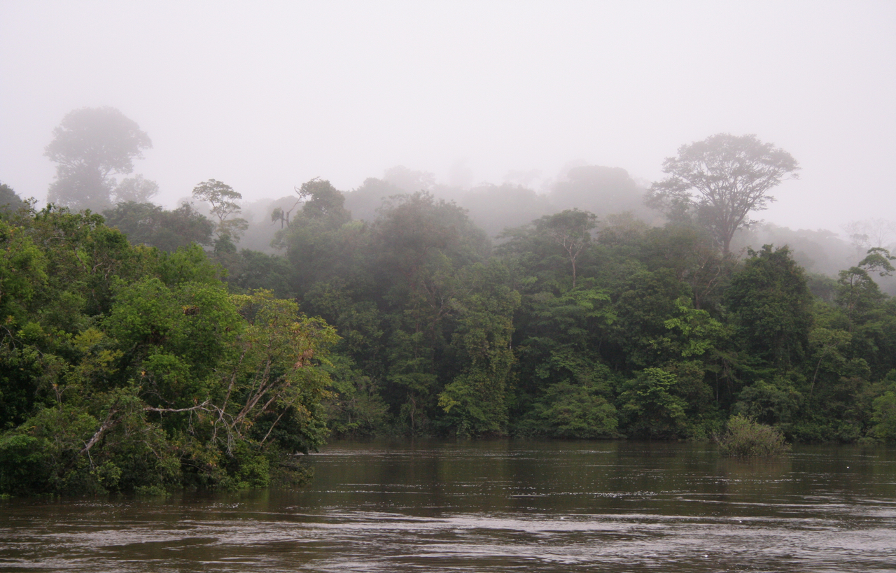 The Coppename River shrouded in morning fog, typical of the many rivers that traverse Suriname's interior.
