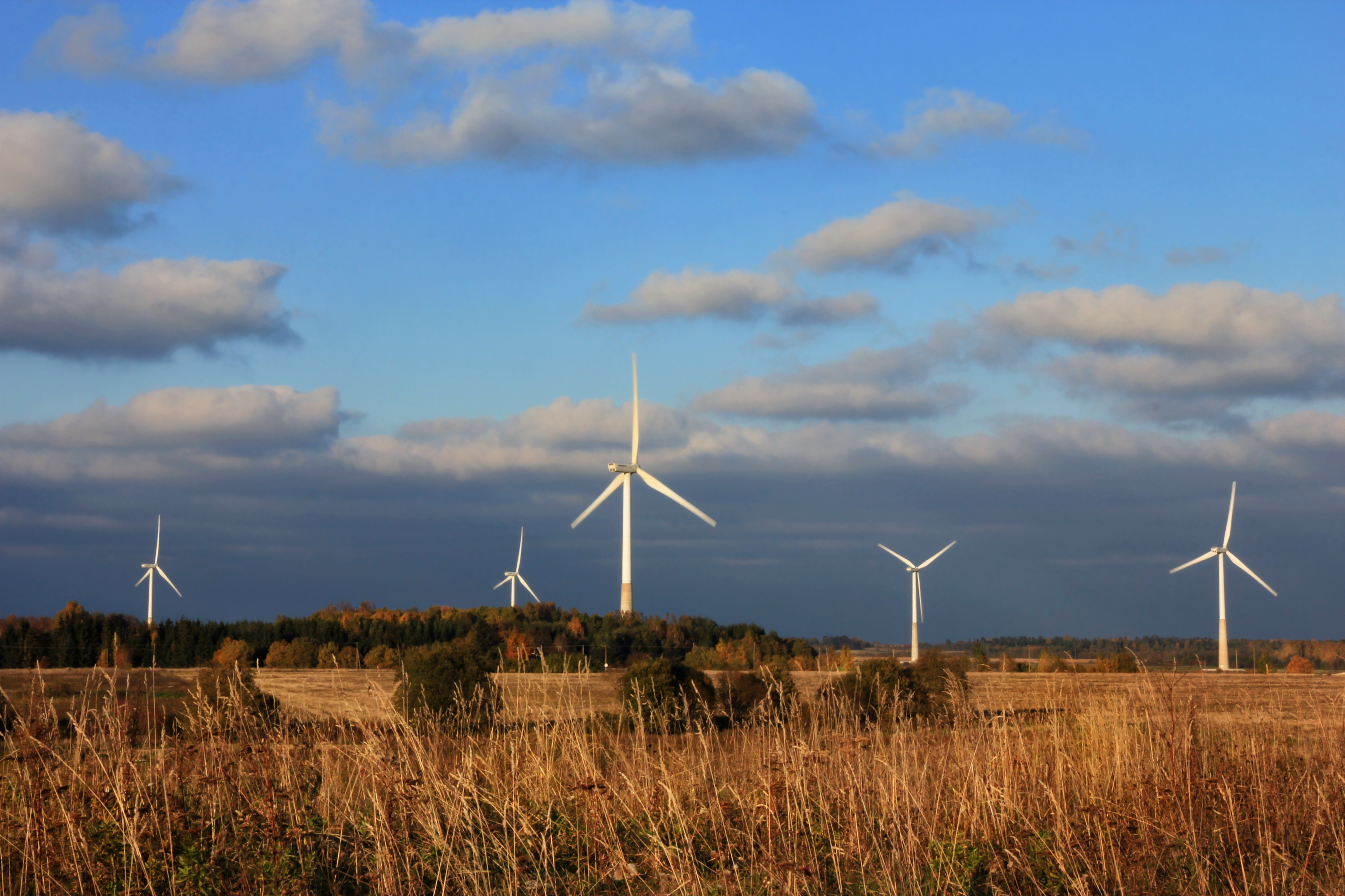 A wind farm in Aseriaru. Estonia is increasing its reliance on wind power as a renewable energy source to meet climate goals and reduce dependence on oil shale.