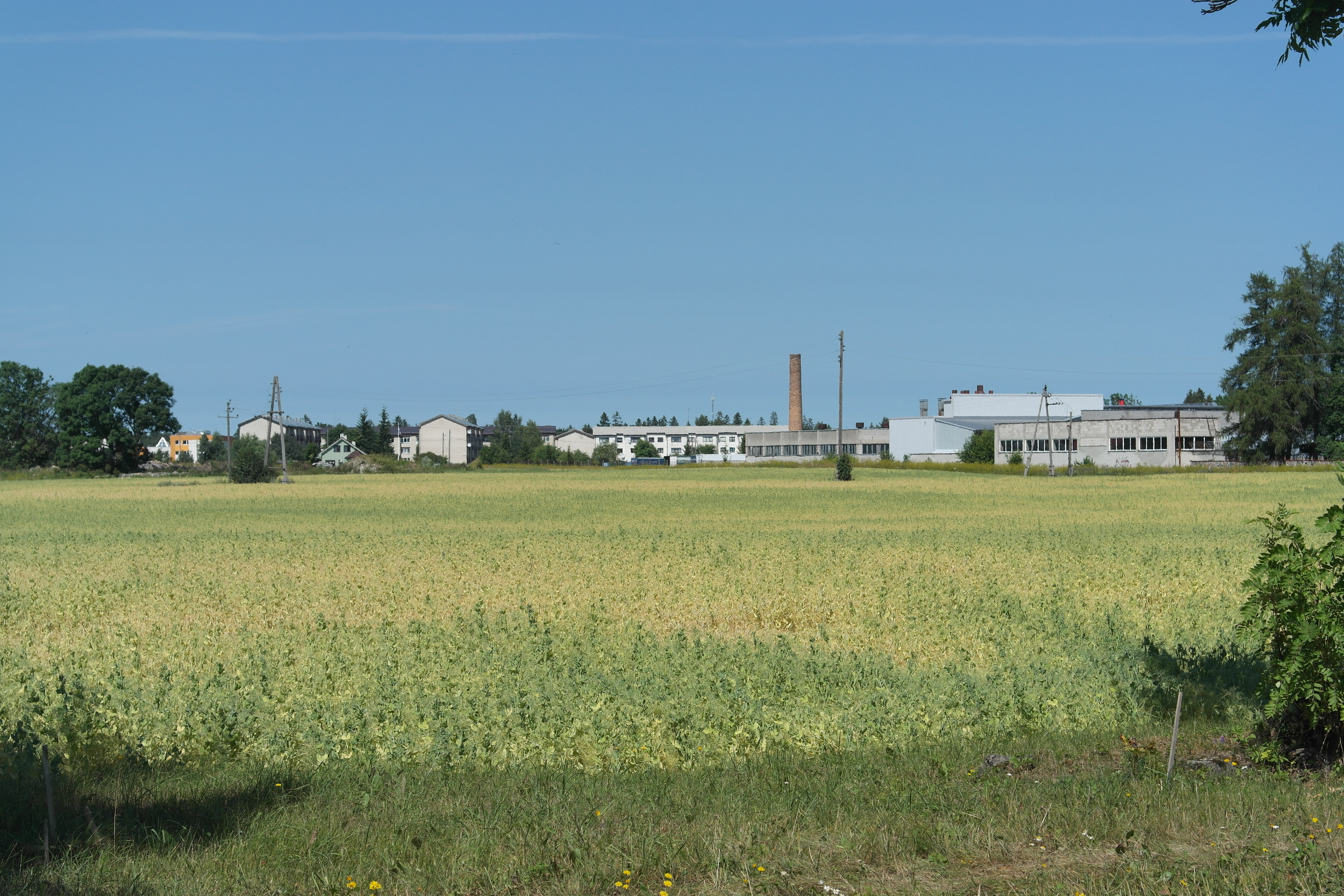 Agricultural fields near a rural settlement in Aruküla. Agriculture remains an important part of Estonia's rural economy, with a growing emphasis on organic farming.