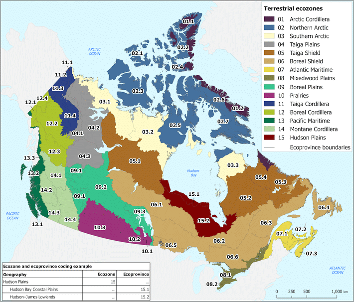  Terrestrial ecozones and ecoprovinces of Canada. Ecozones are identified with a unique colour. Ecoprovinces are subdivisions of ecozones and are identified with a unique numeric code.