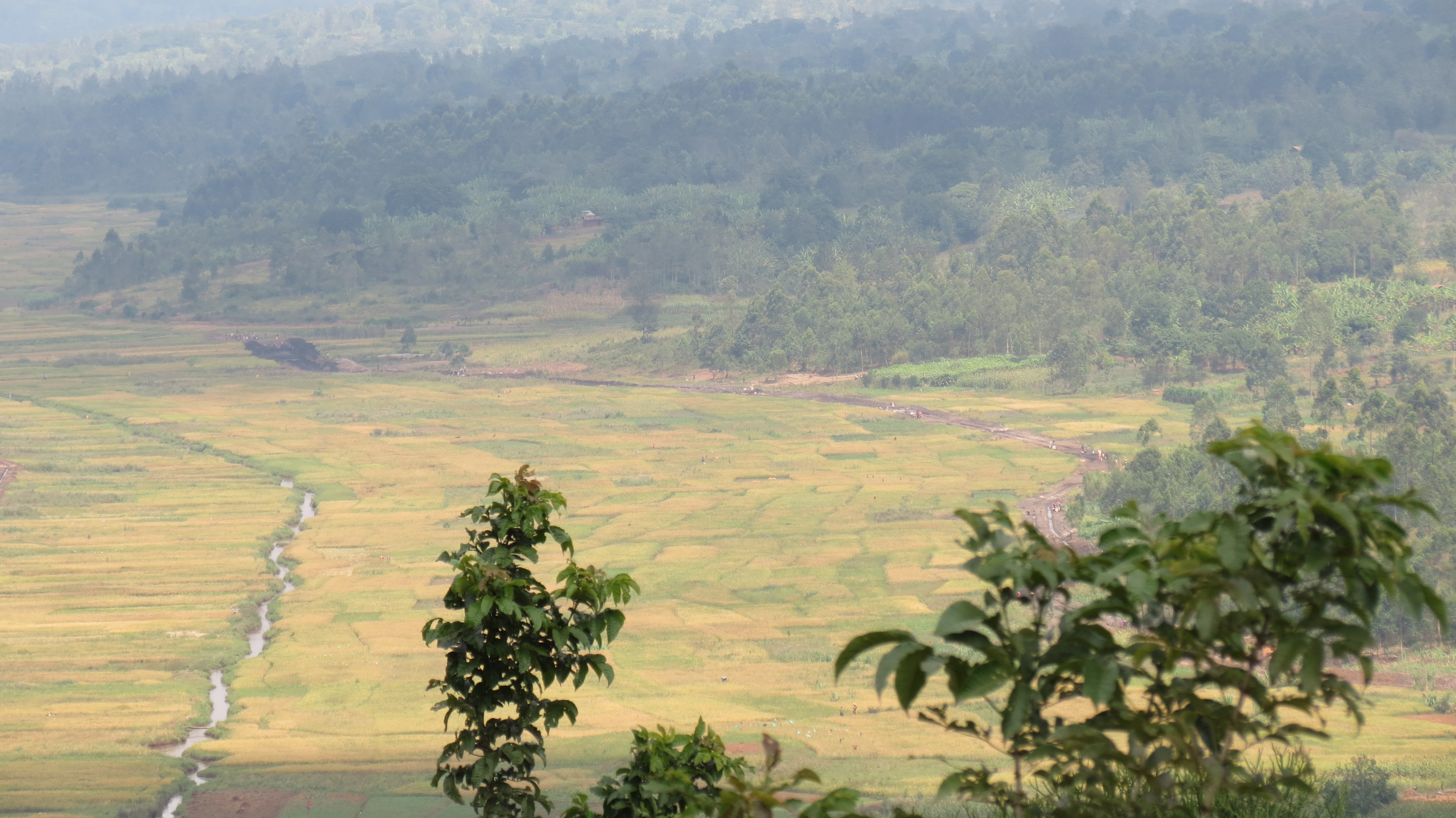 ที่ราบสูงบุรุนดี