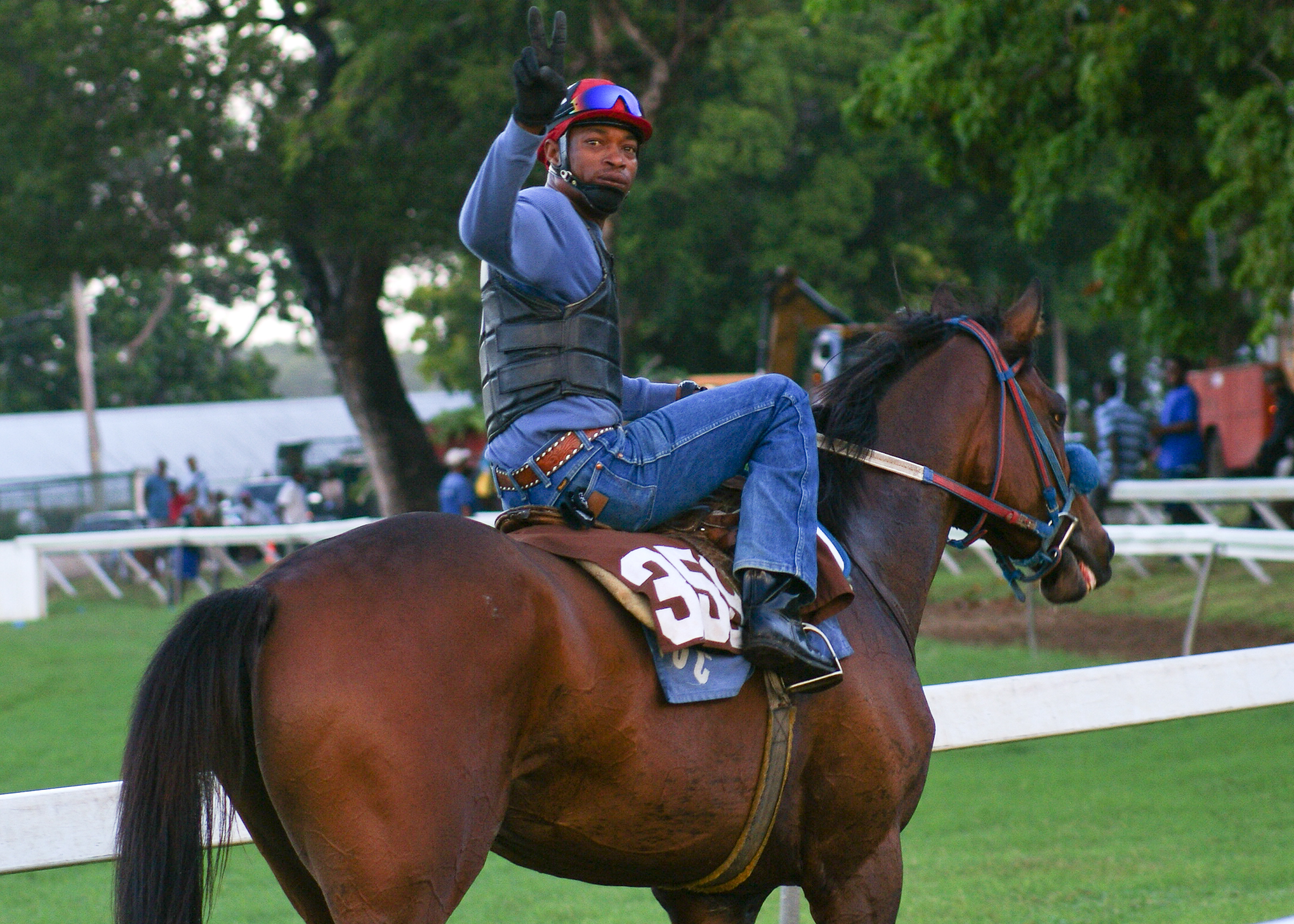 A horse and jockey at the historic Garrison Savannah.