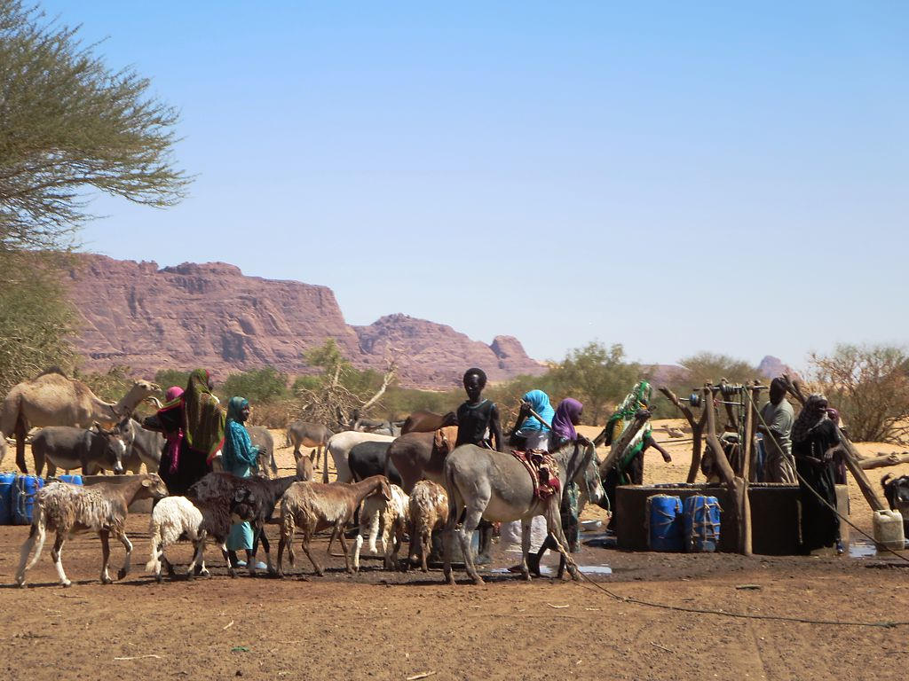 Toubou nomads in the Ennedi Mountains. The Ennedi region is known for its unique wildlife, including remnant populations of West African crocodiles.