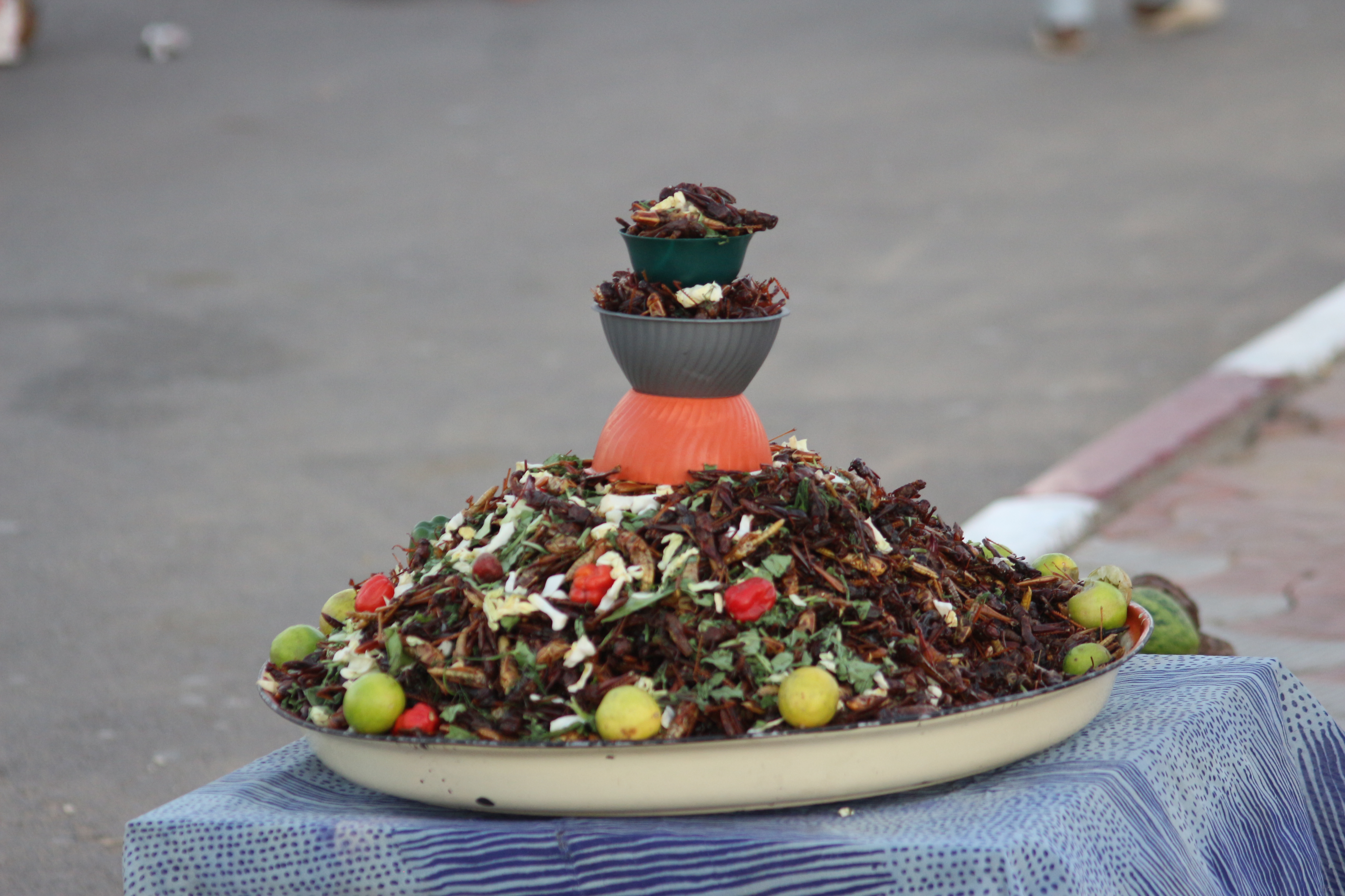 Fried or grilled grasshoppers are a traditional food in parts of Chad.