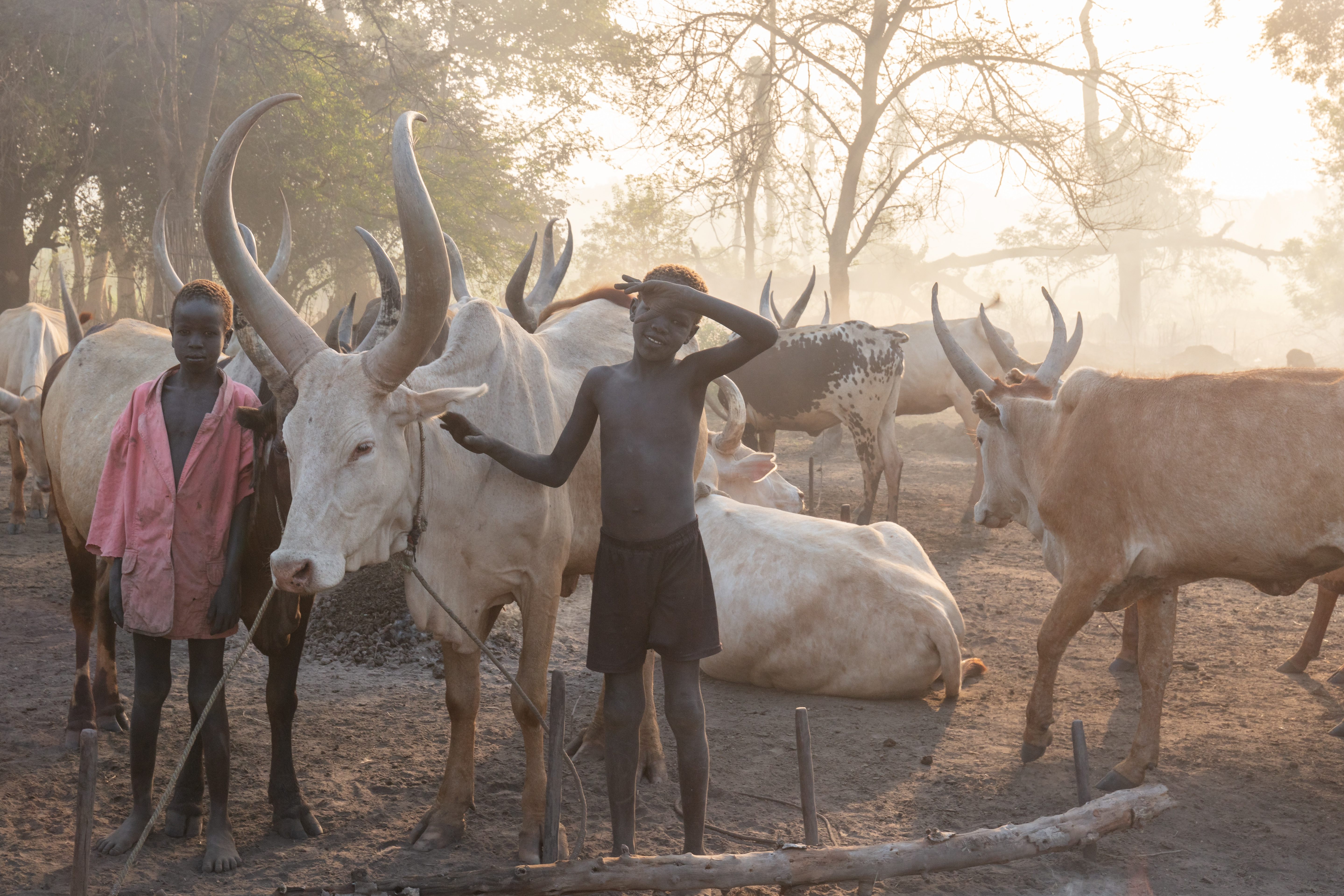 Kem lembu kaum Orang Mundari di Equatoria Tengah