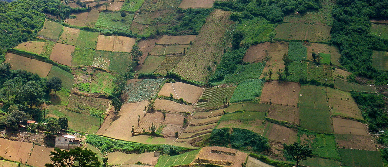 Agricultural fields in Quetzaltenango
