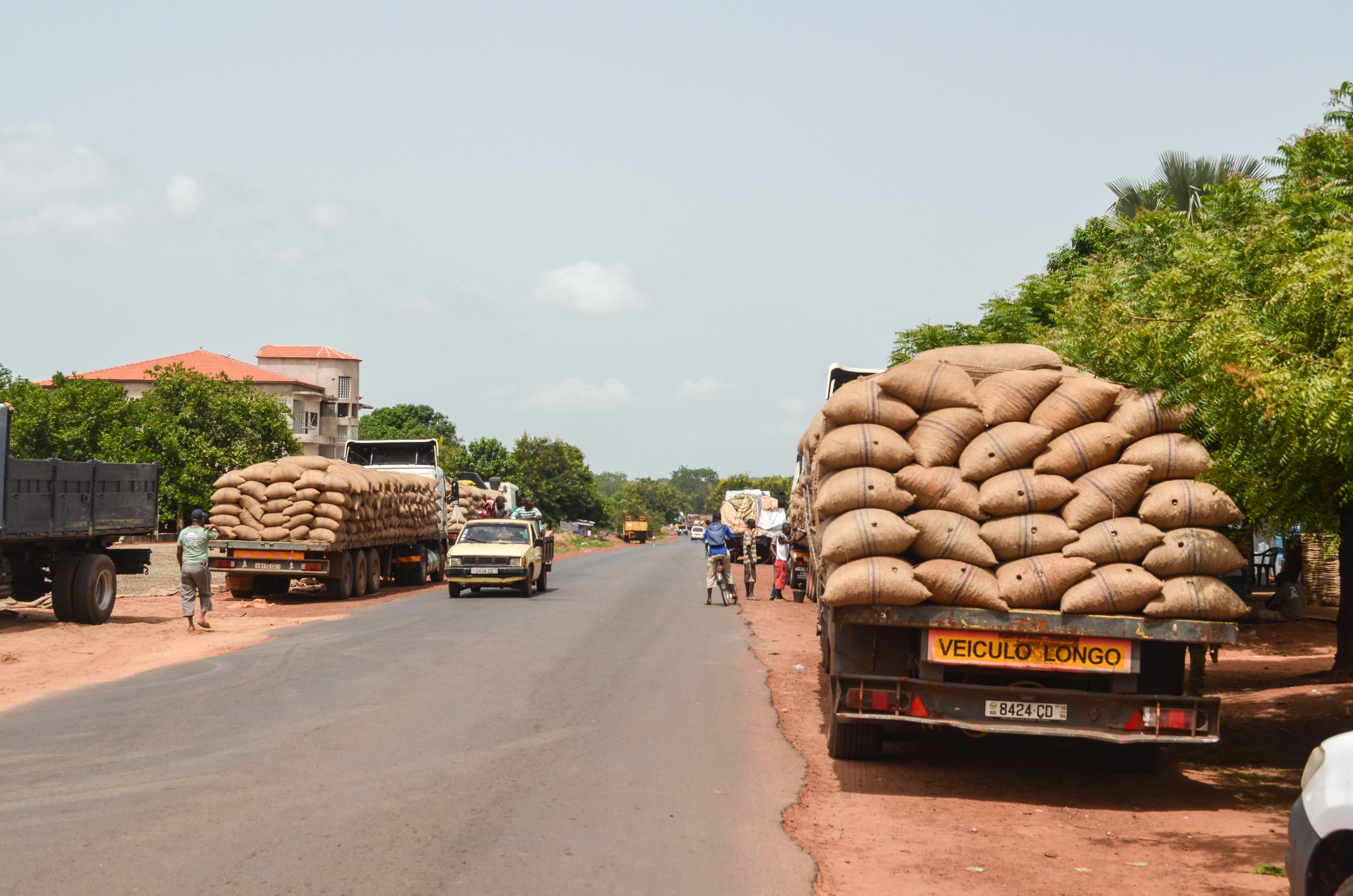 A truck parked on a rural road in Guinea-Bissau