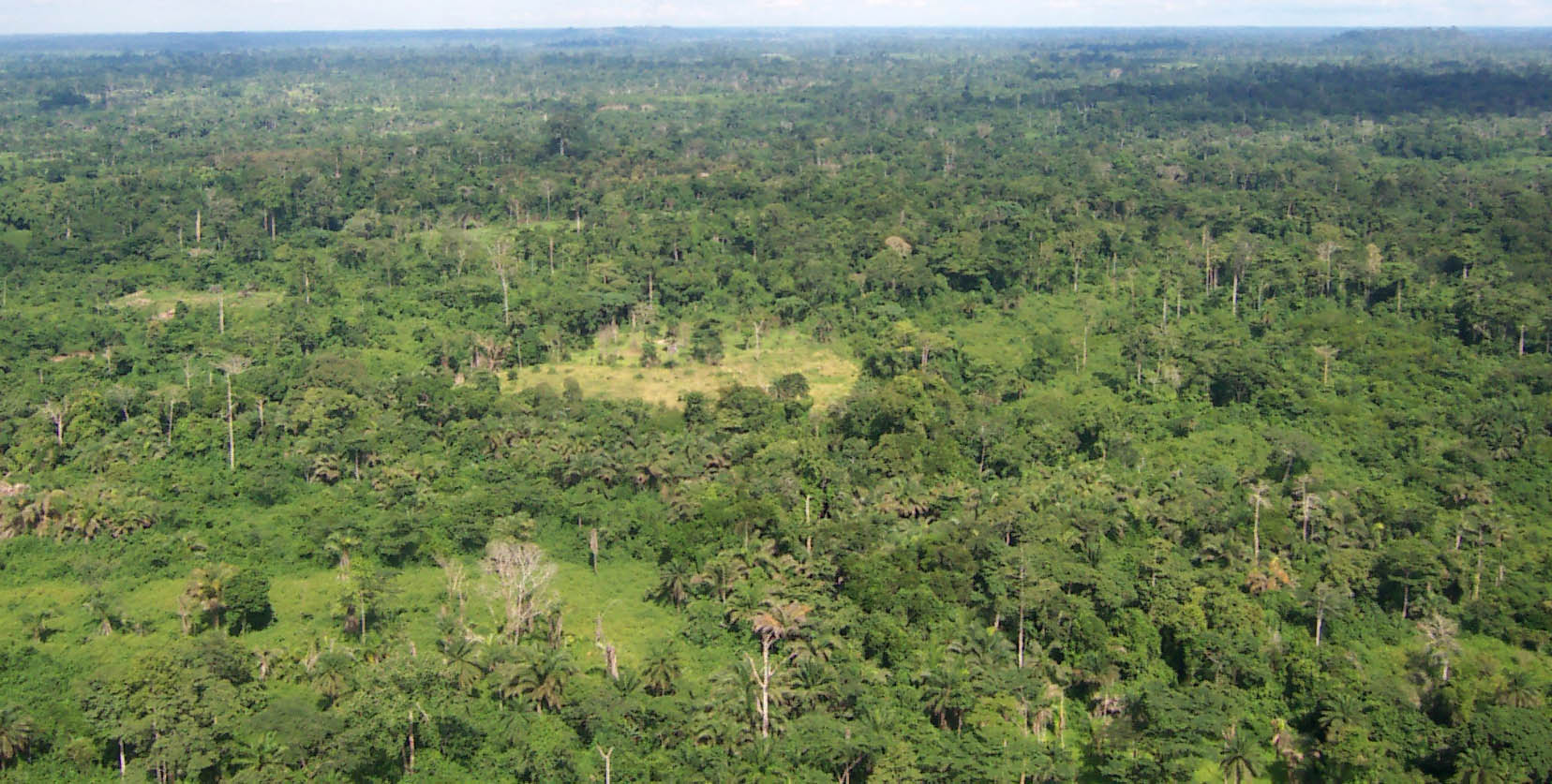 Hutan tropis Liberia