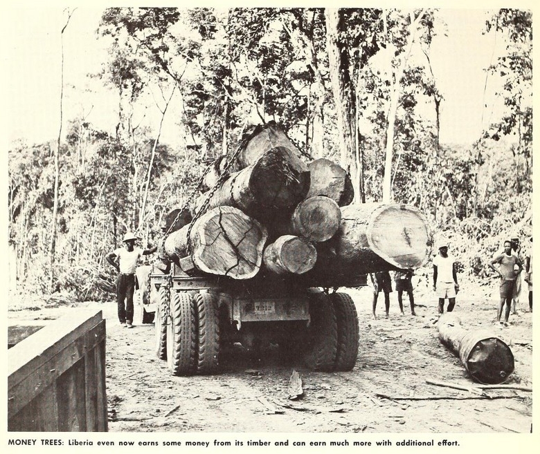 Penebang kayu dan truk penebangan, awal 1960-an