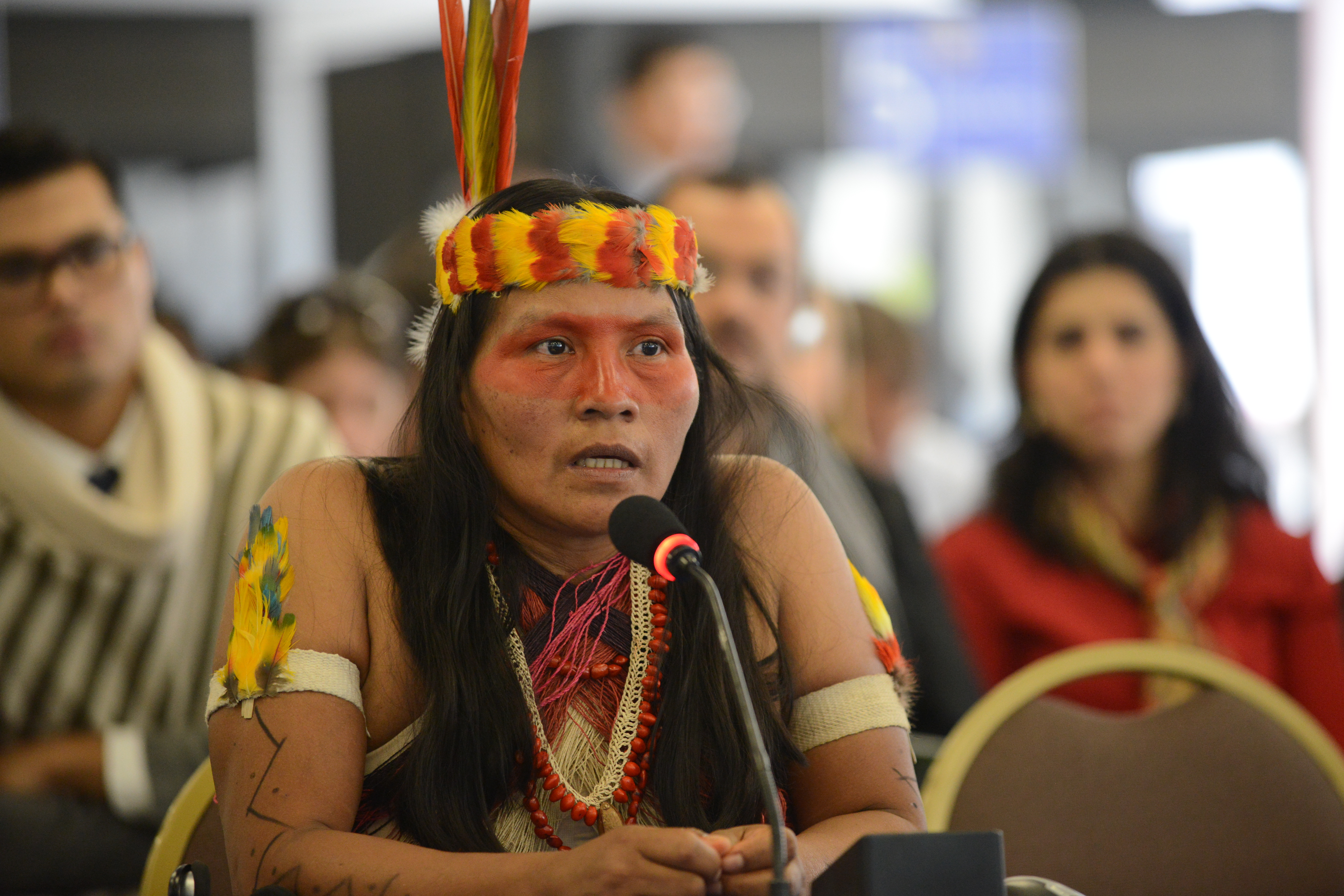 Waorani woman from the Amazon region, highlighting the diversity of indigenous cultures.