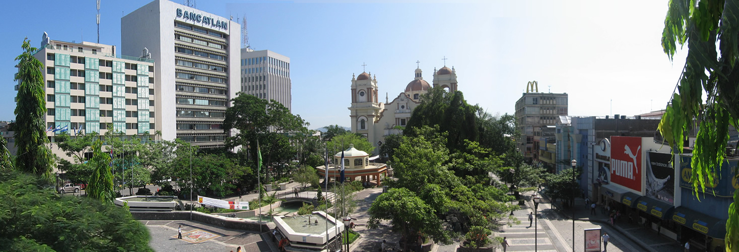 San Pedro Sula ialah pusat perniagaan dan perdagangan utama di Honduras, dan merupakan rumah kepada banyak pengilang dan syarikat besar. Ia sering dirujuk sebagai