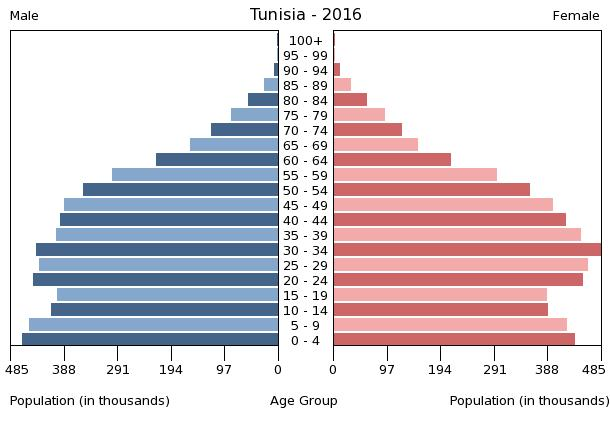 Population pyramid of Tunisia (2016).