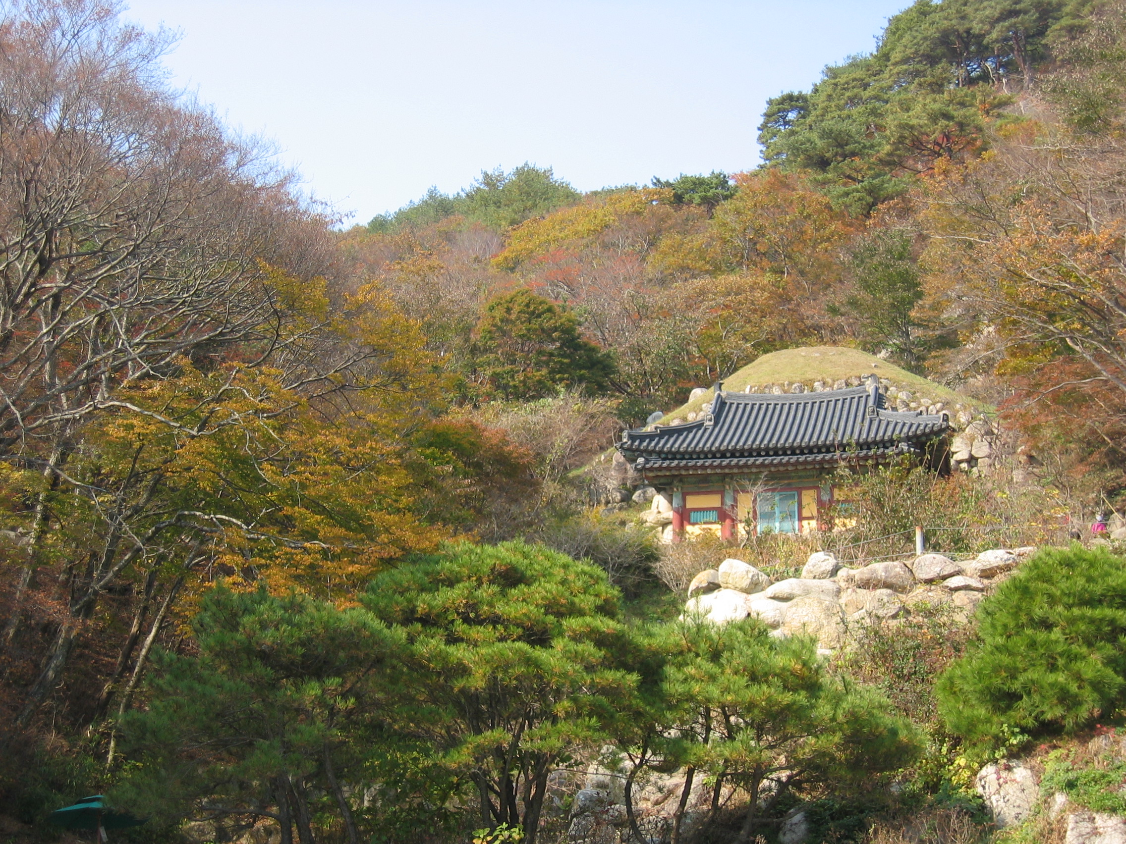 가을 산자락 울창한 숲으로 둘러싸인 목조 사당의 먼 풍경.